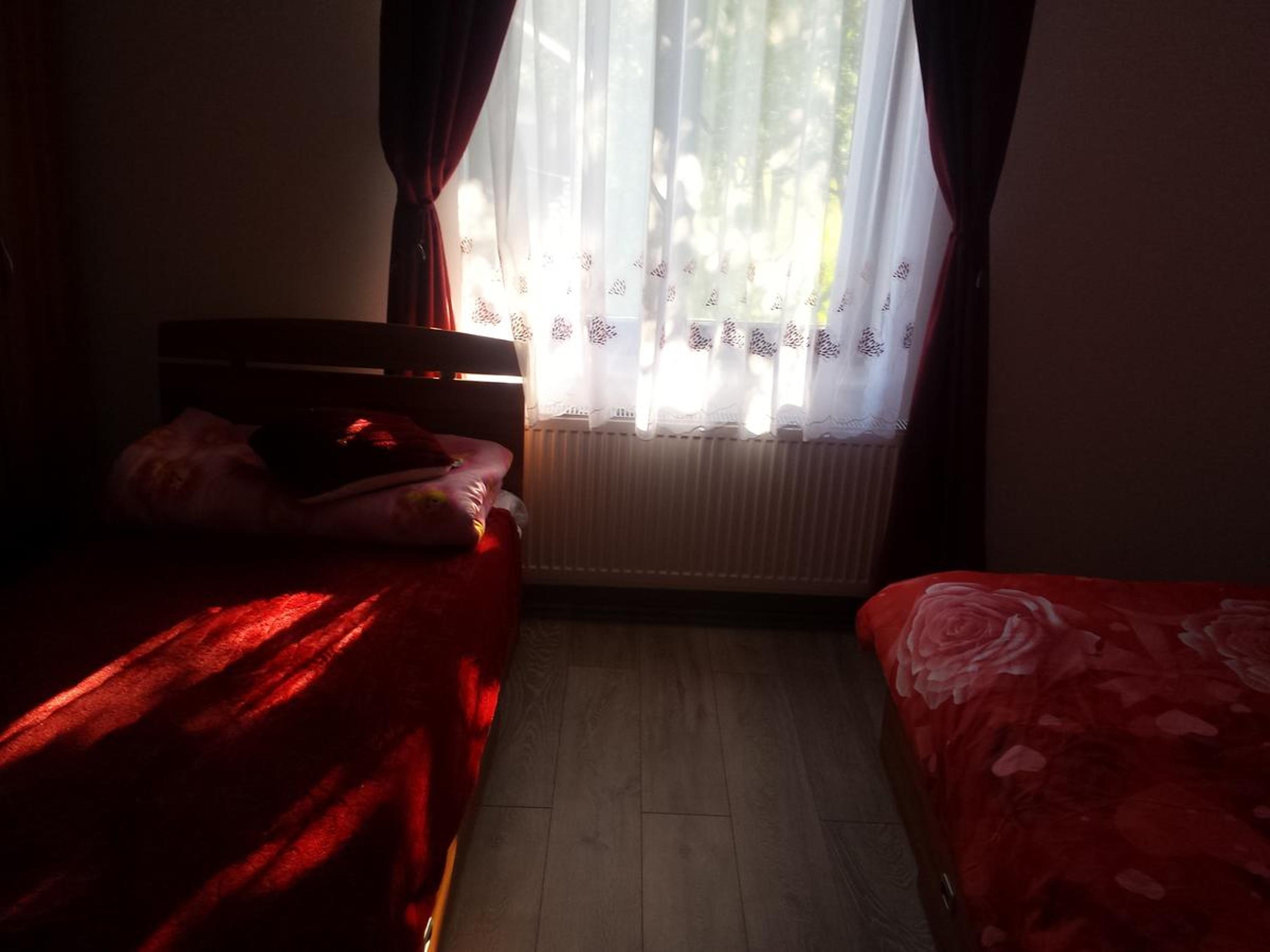 Photo 145
