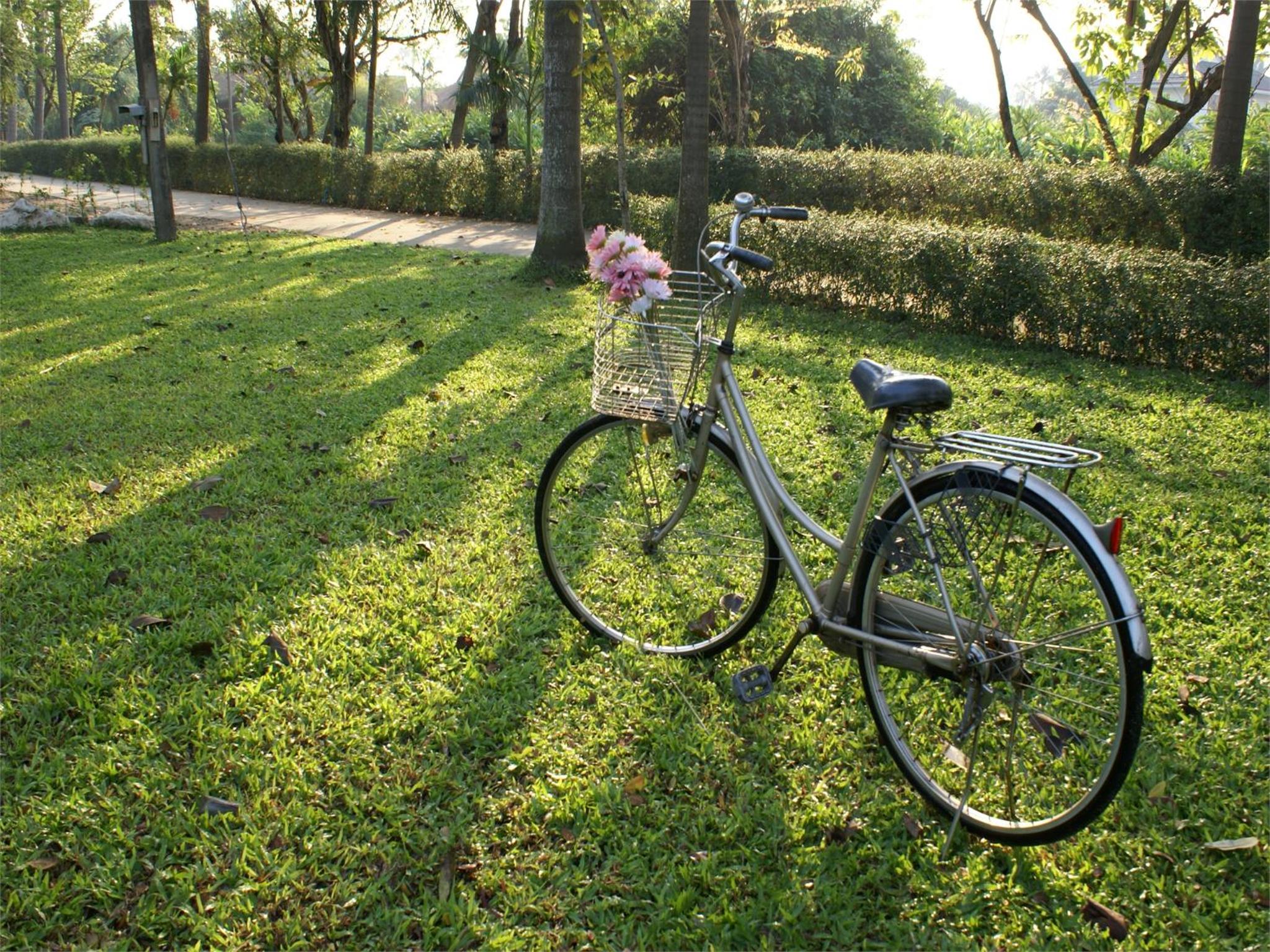 IngNatee Resort