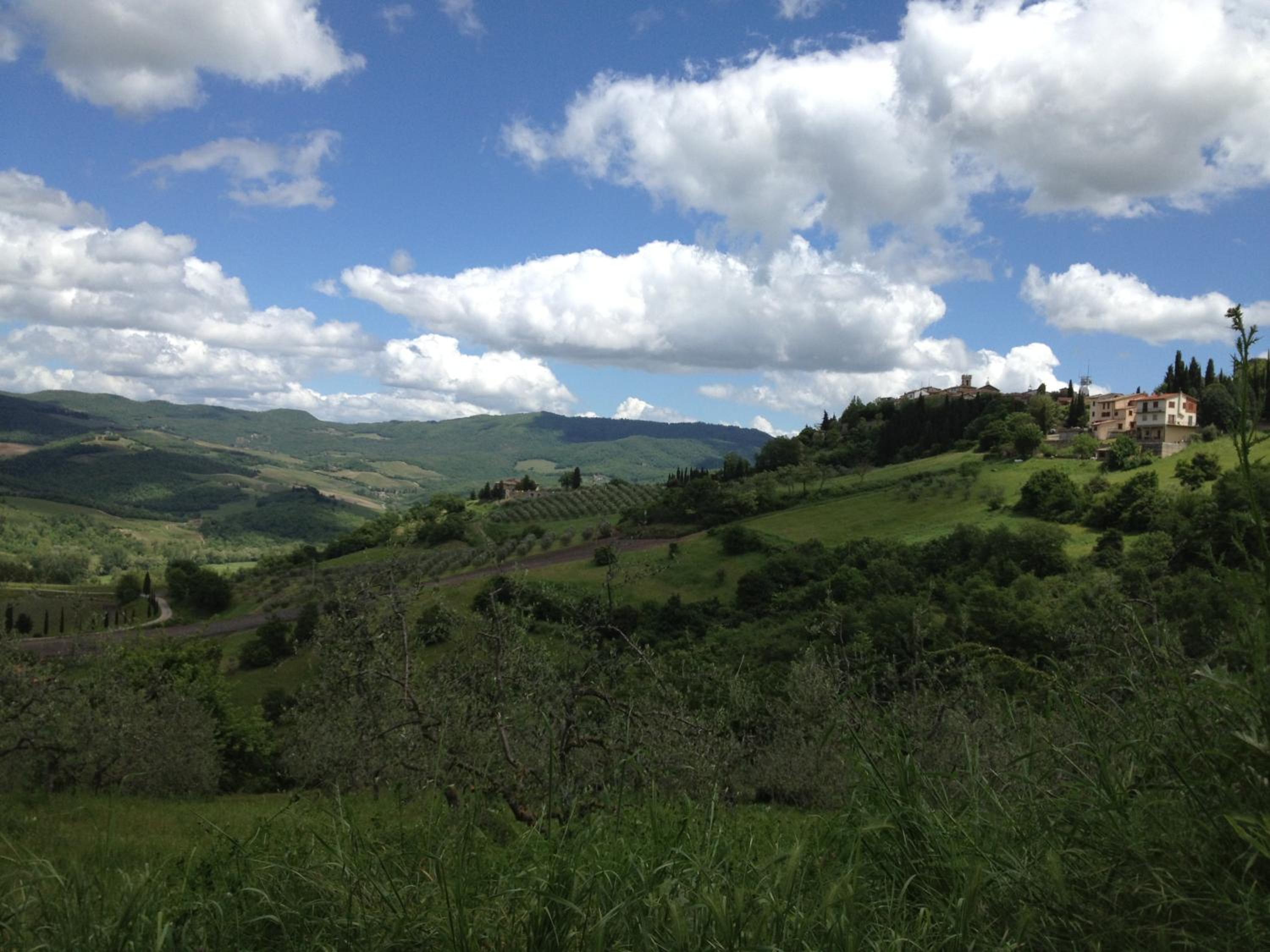 Photo 23