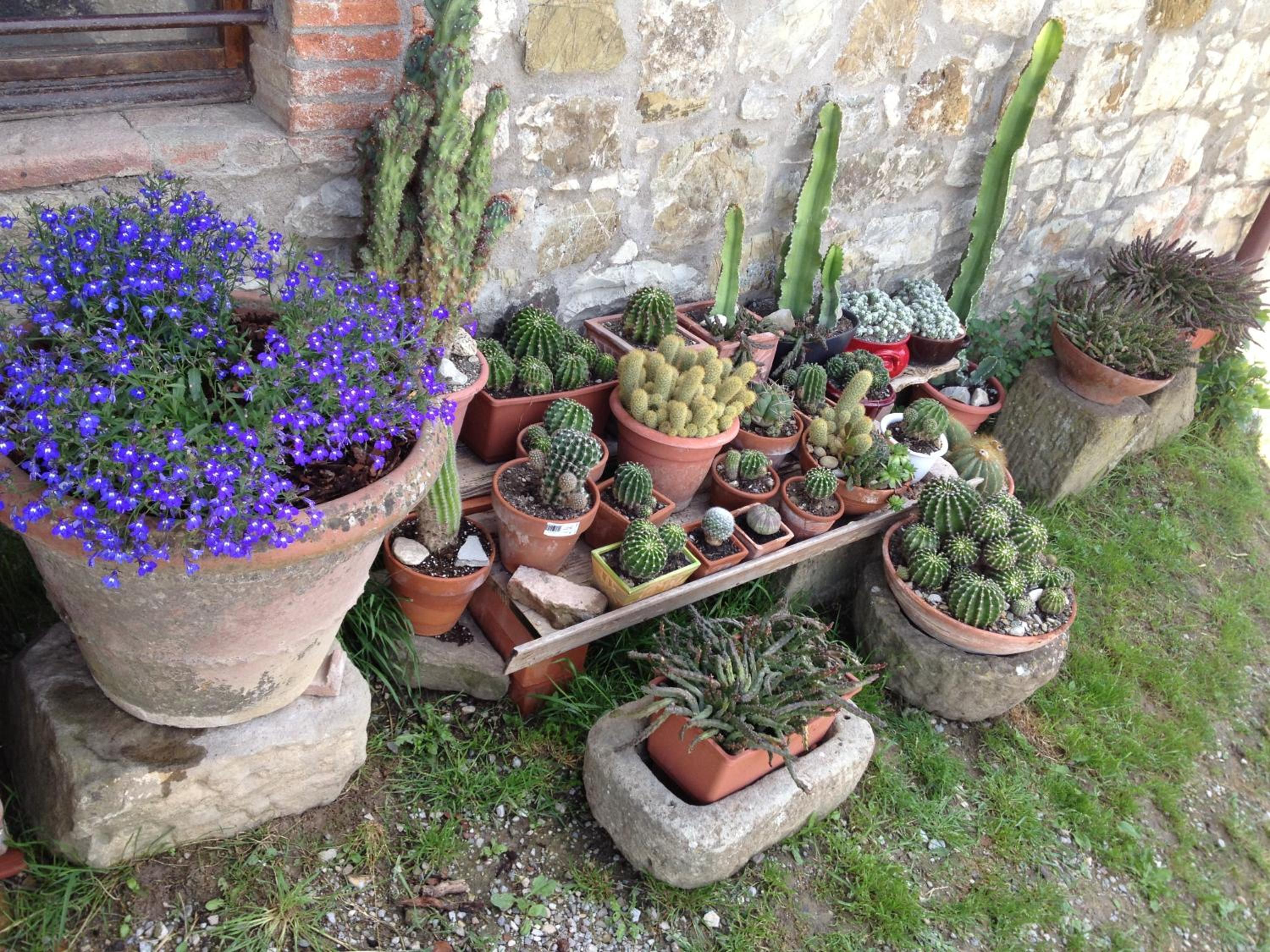 Photo 24