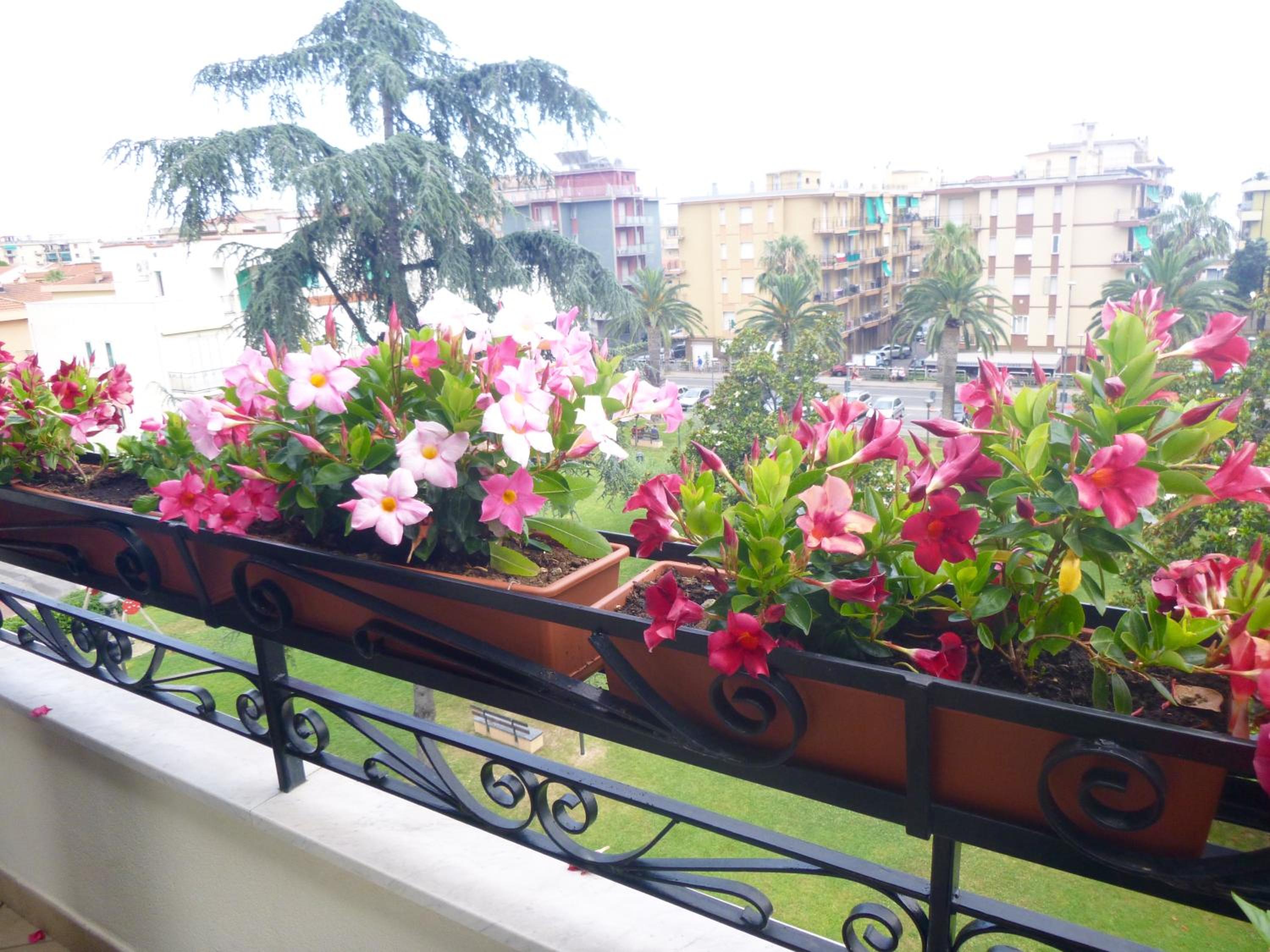 I Love Pietra Ligure