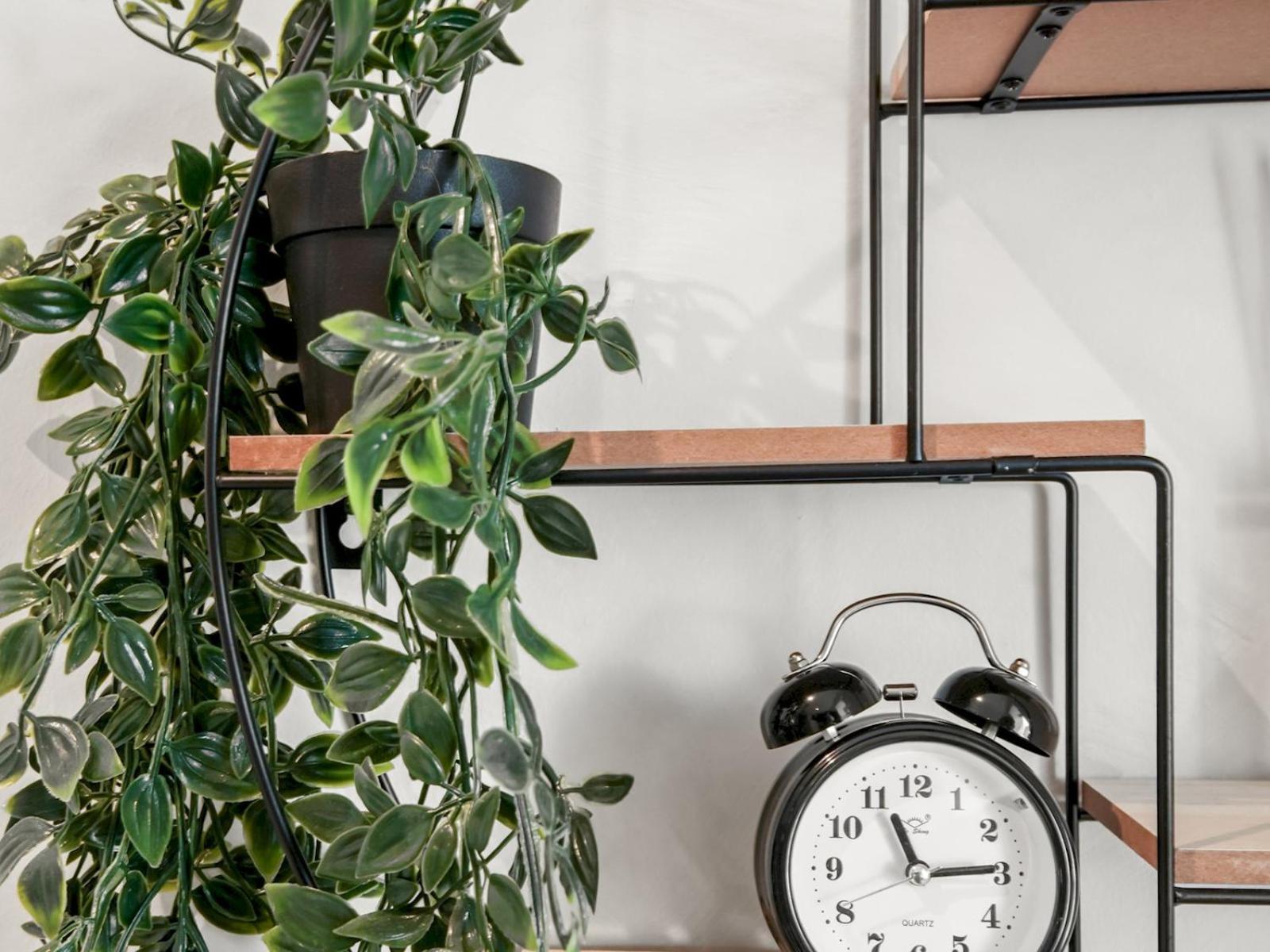 Stylish Studio Apartment in Haggerston - Pass the Keys