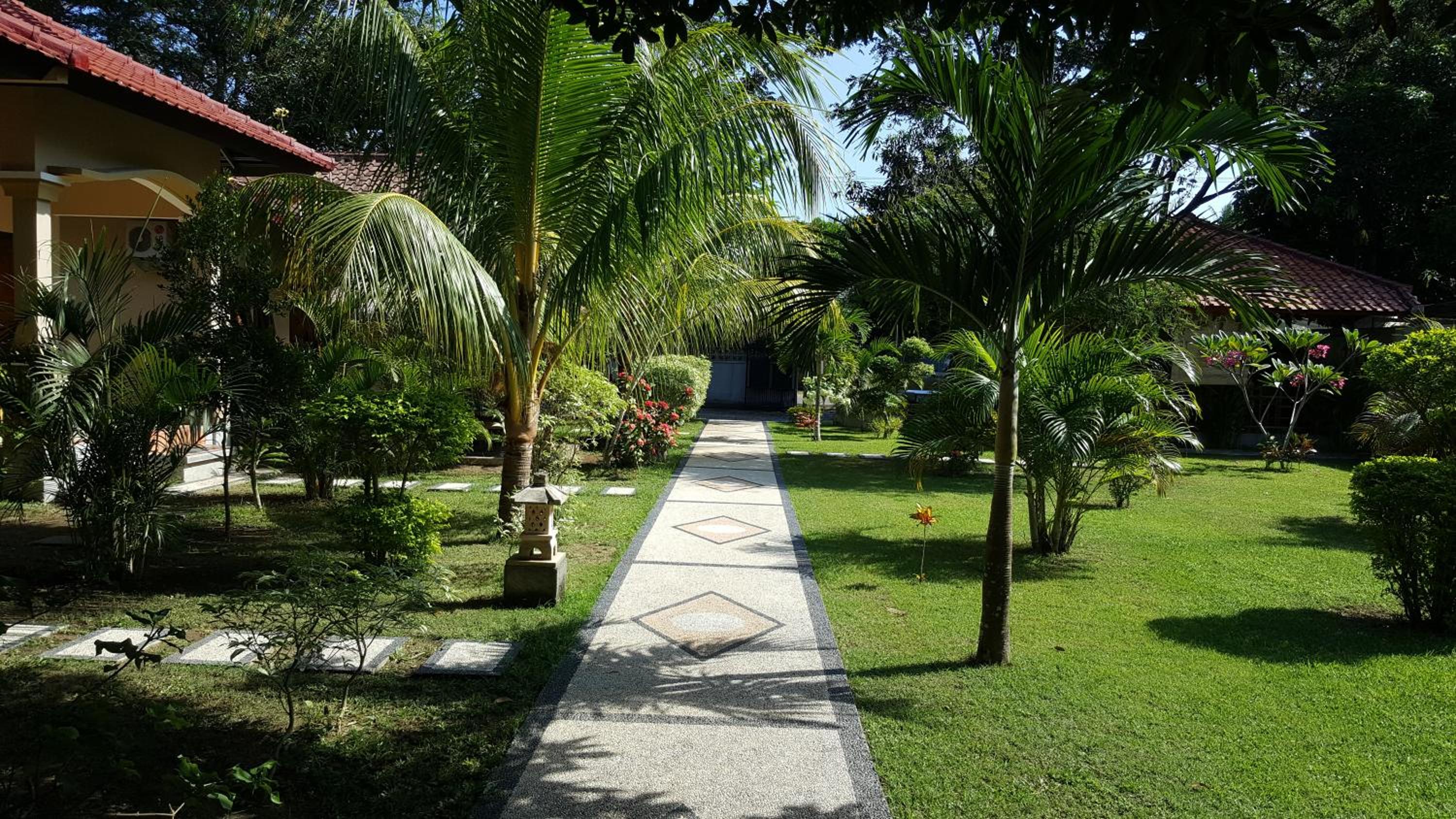 Photo 21