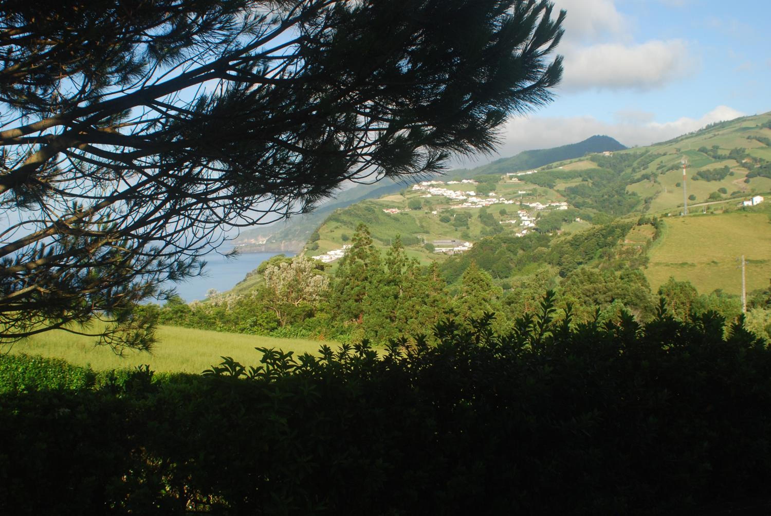 Photo 44