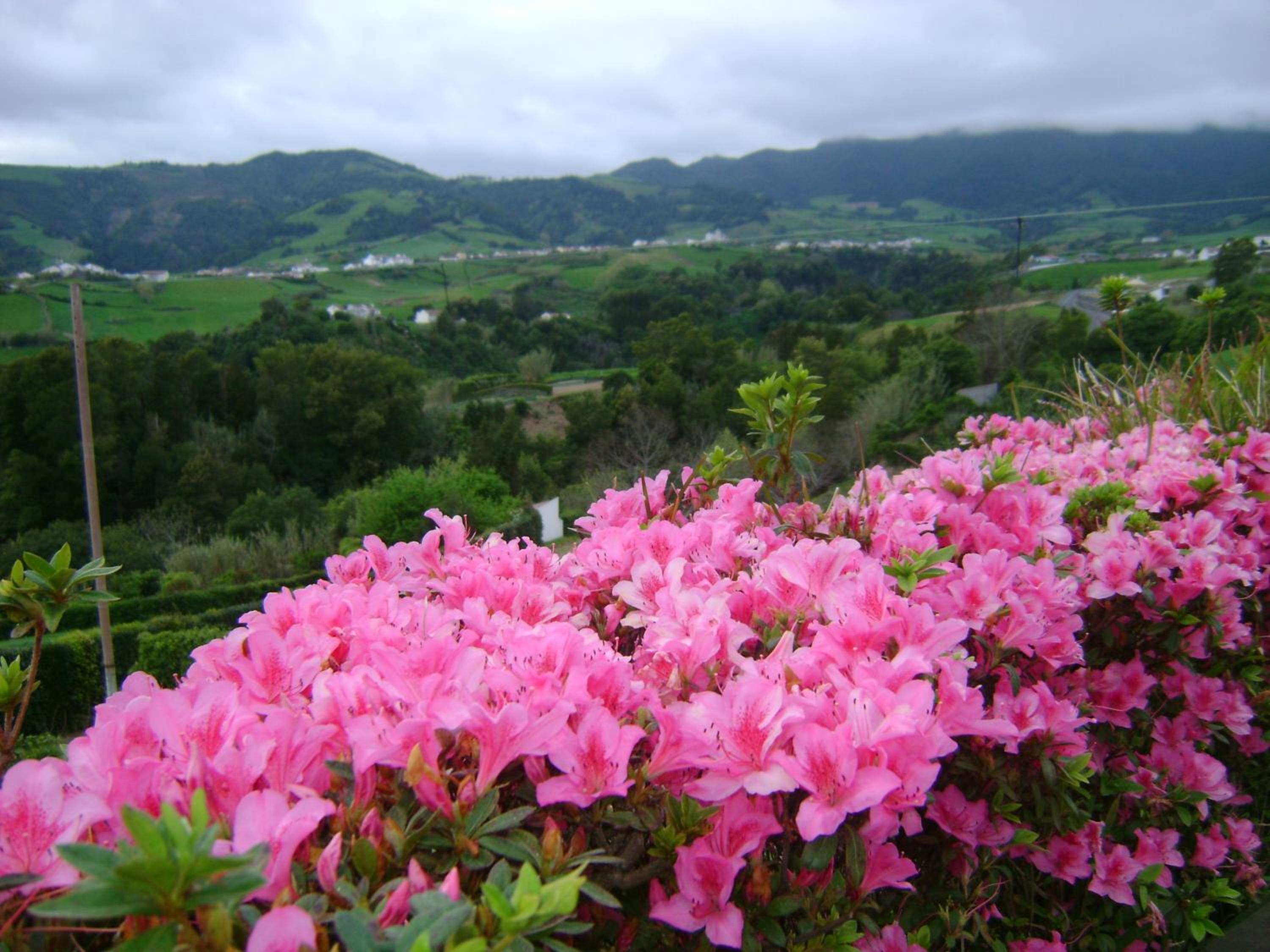 Photo 46