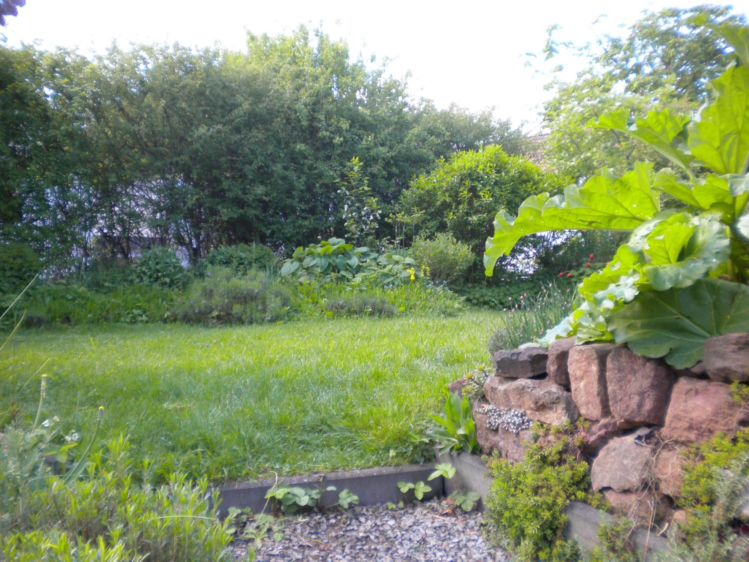 Photo 66