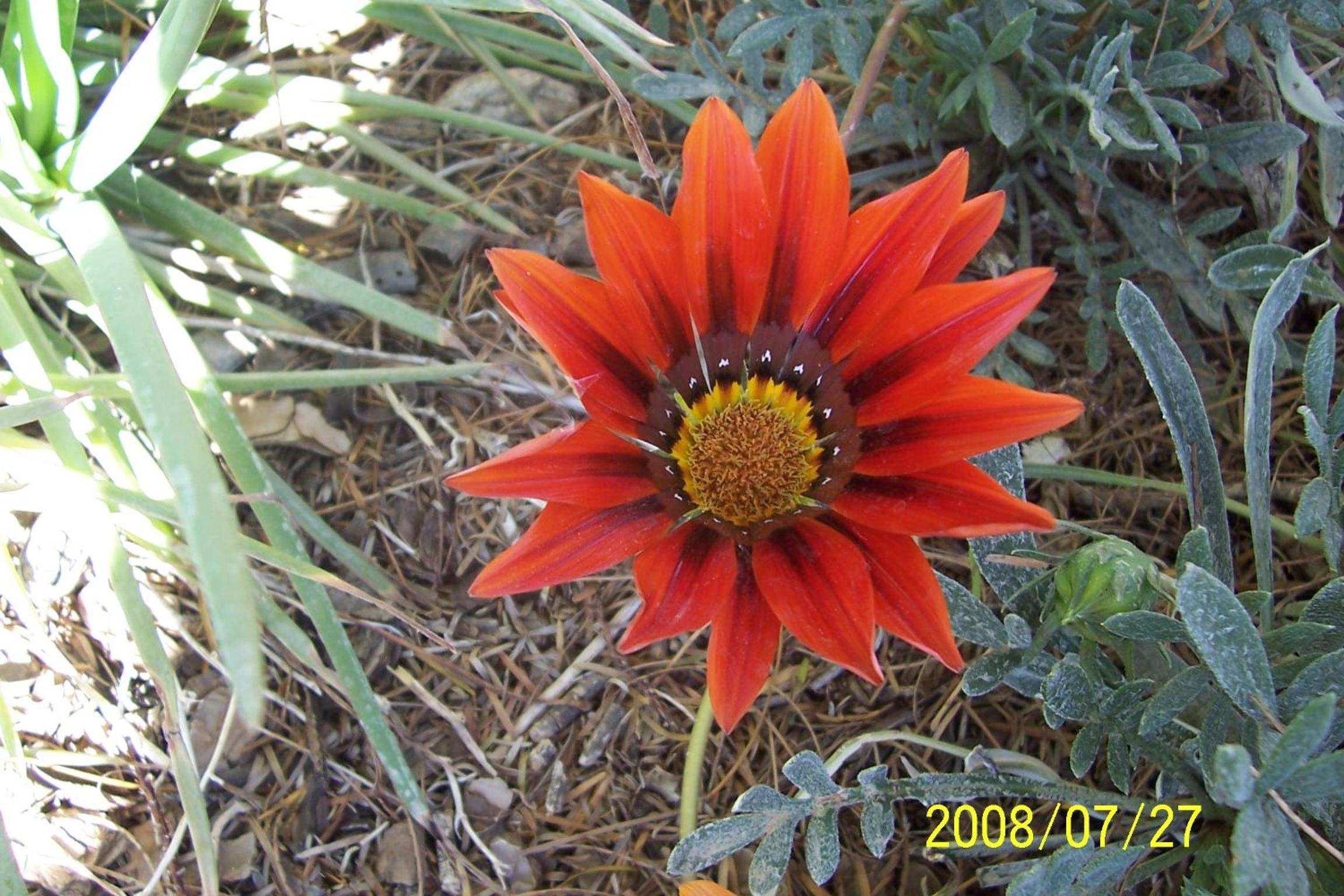Kashana Namibia view 3