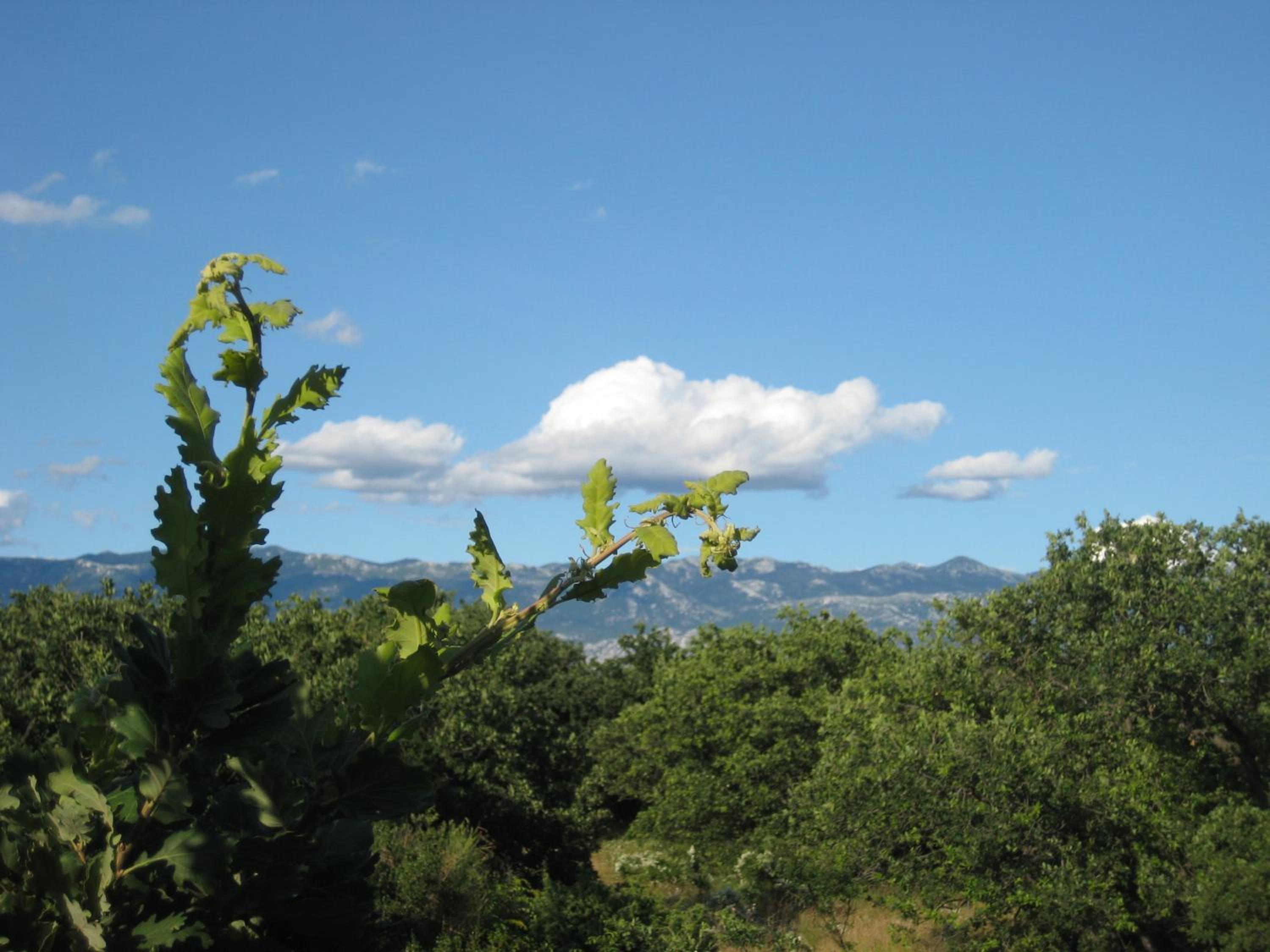 Photo 24