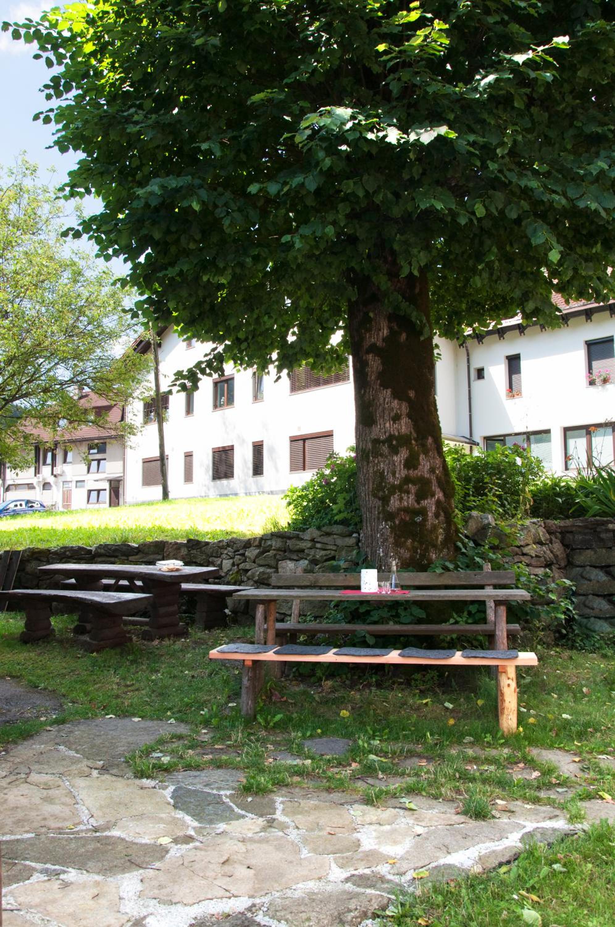 Photo 18