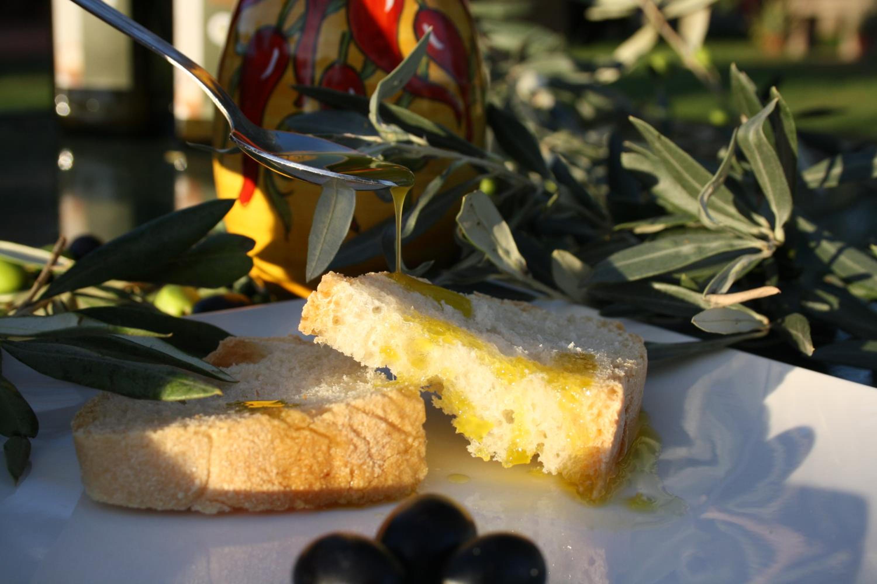 Agriturismo L'Aquilone