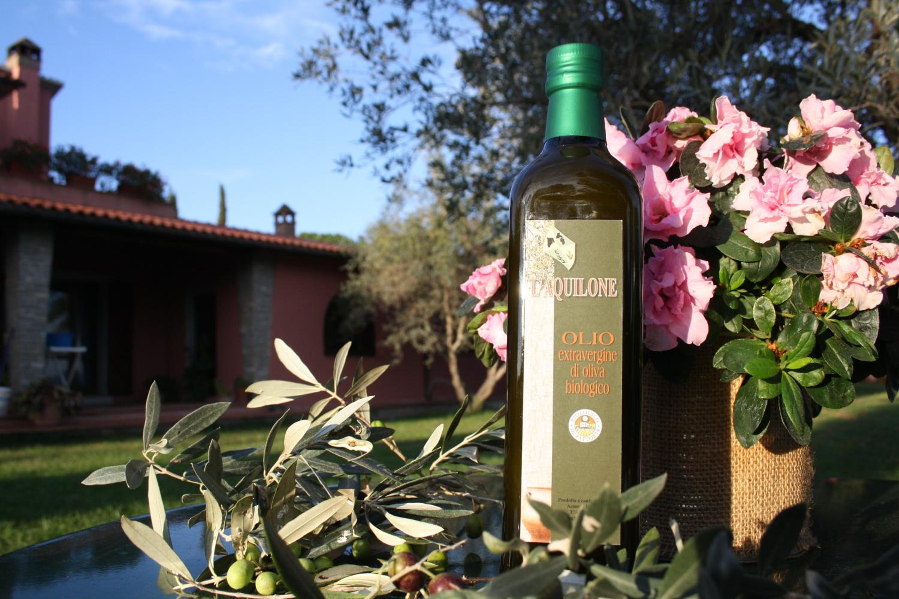 Agriturismo L'Aquilone