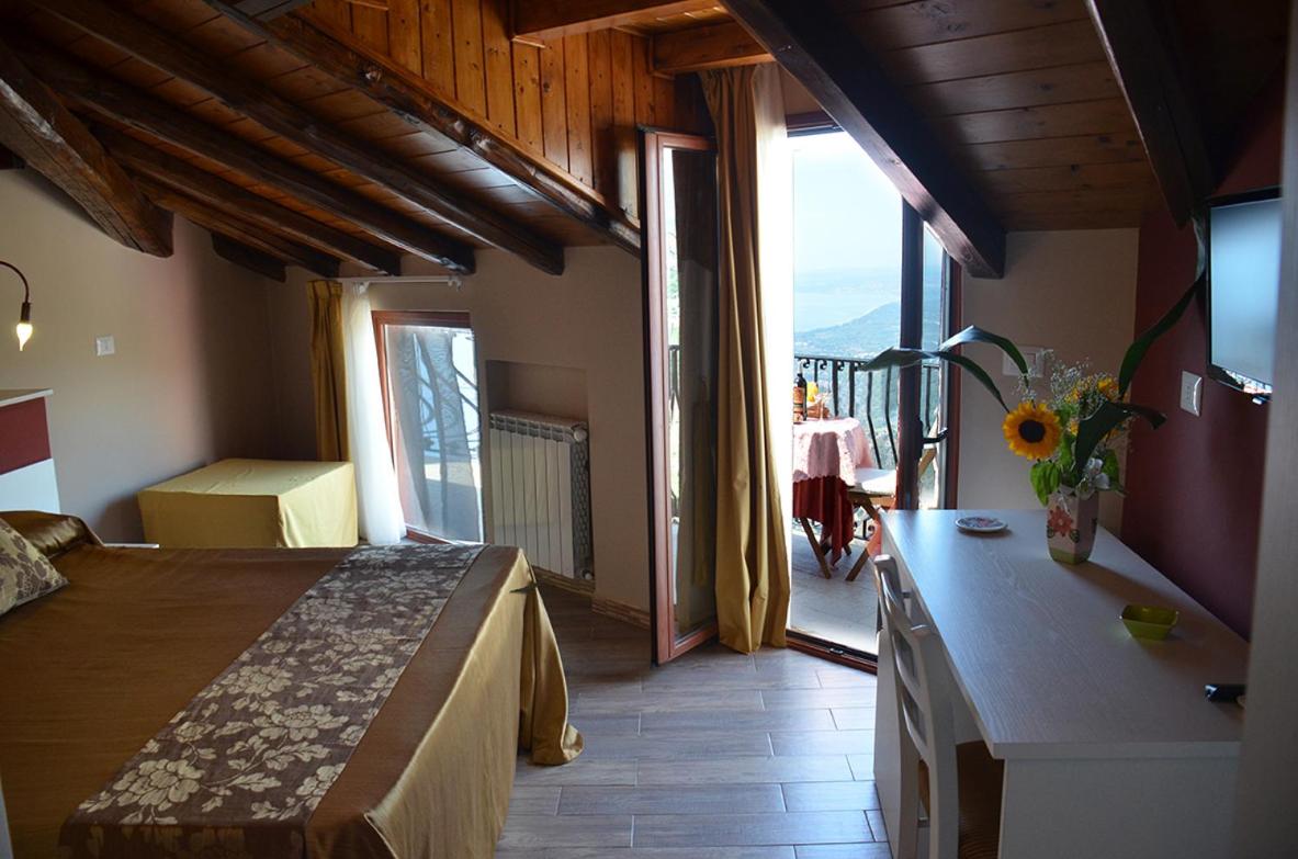 Photo 41