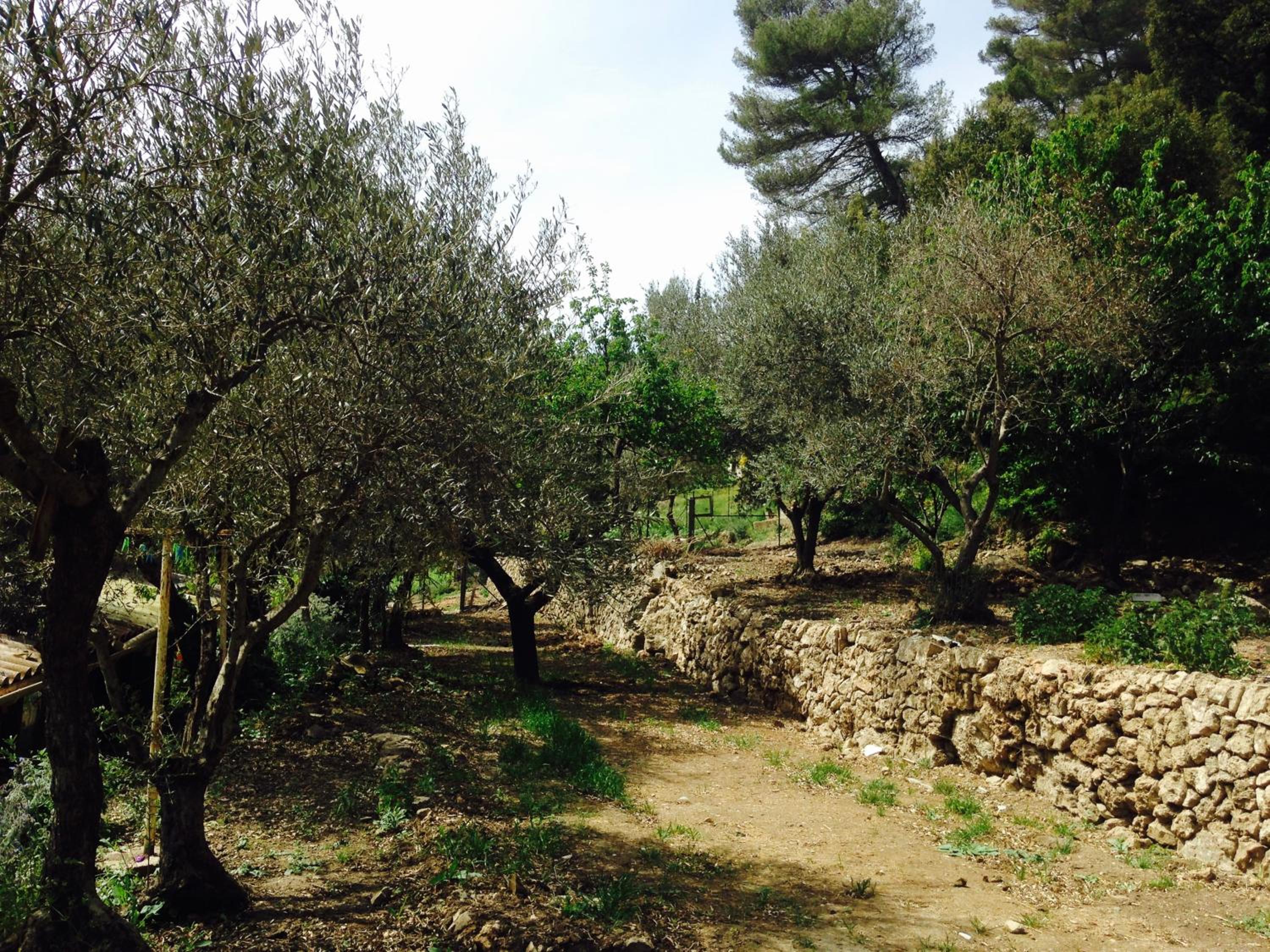 Photo 12
