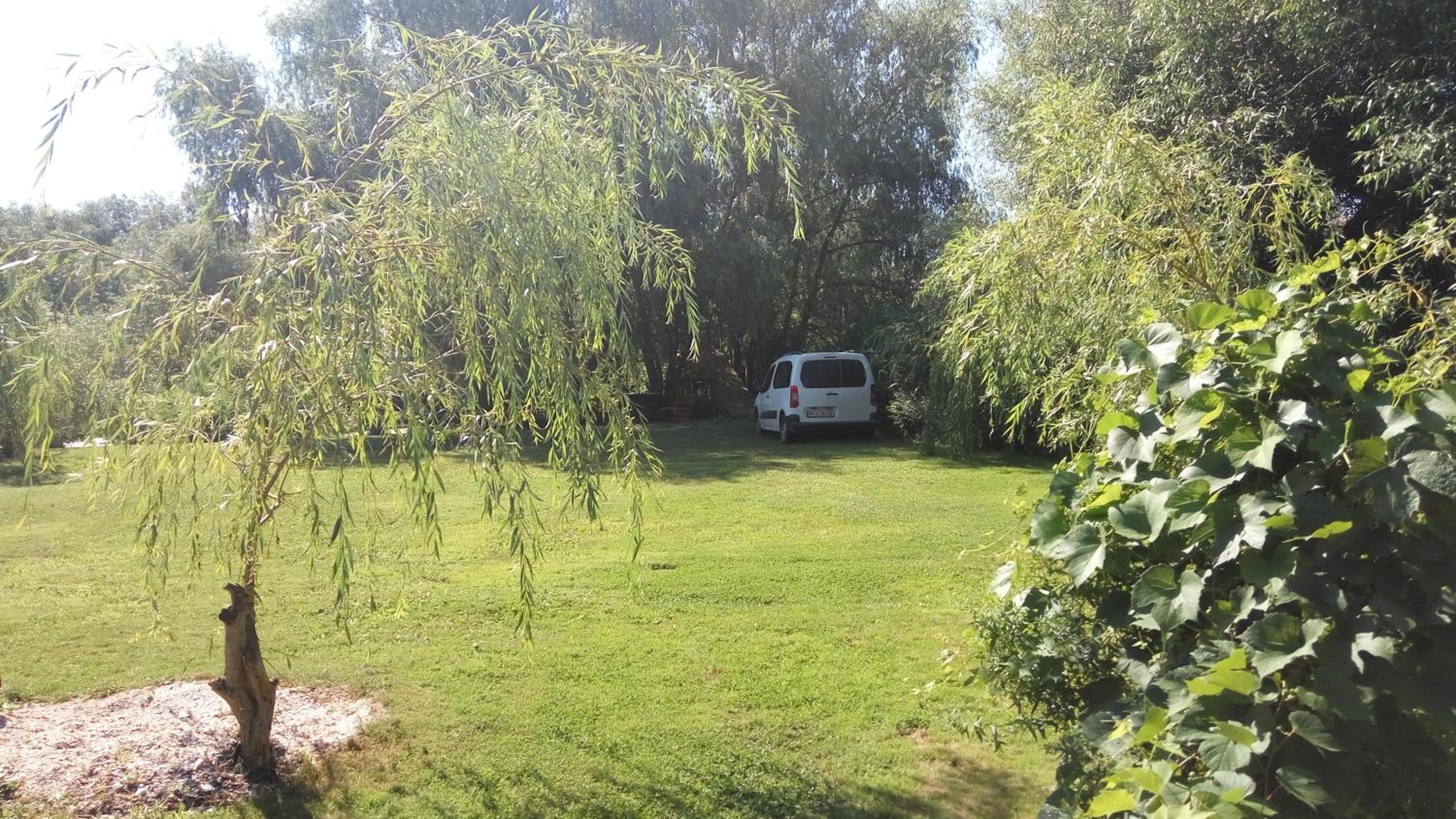 Photo 28