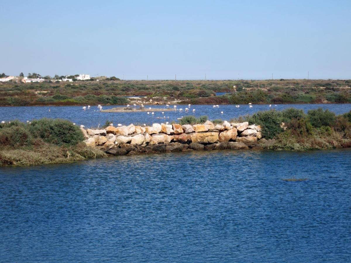Moinhos das Marés, photo 46