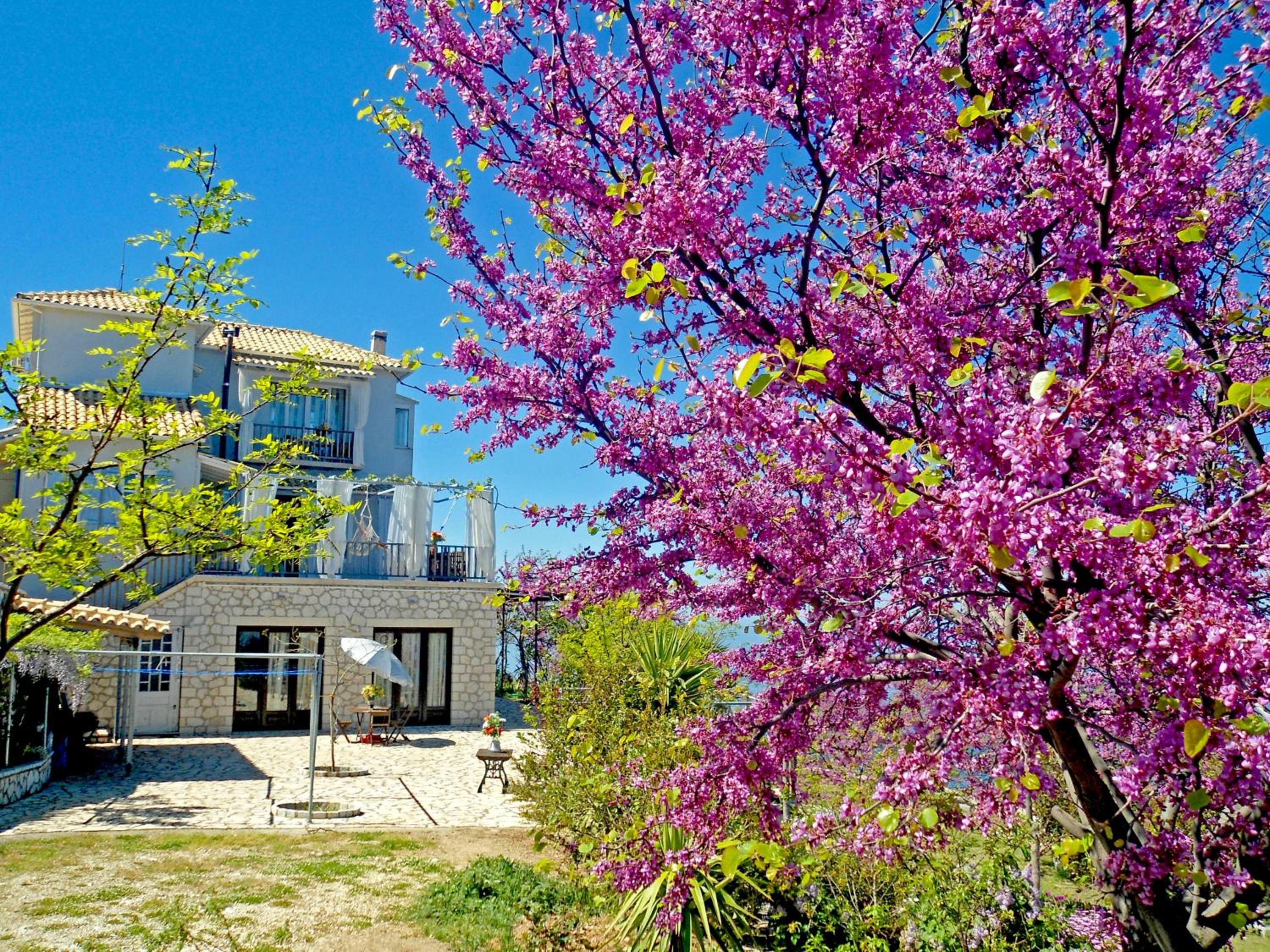 Villa Matula photo 2