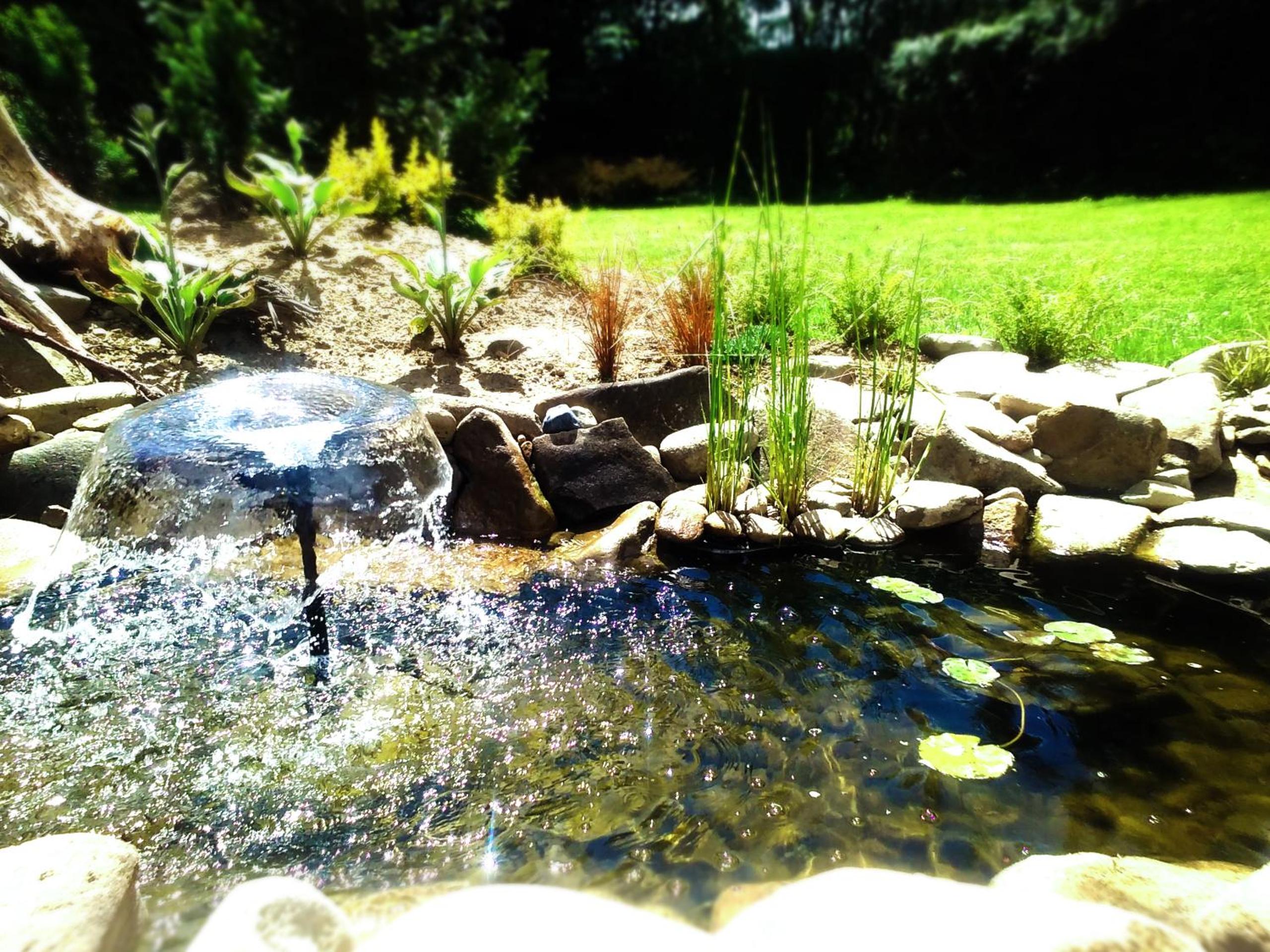 Photo 23