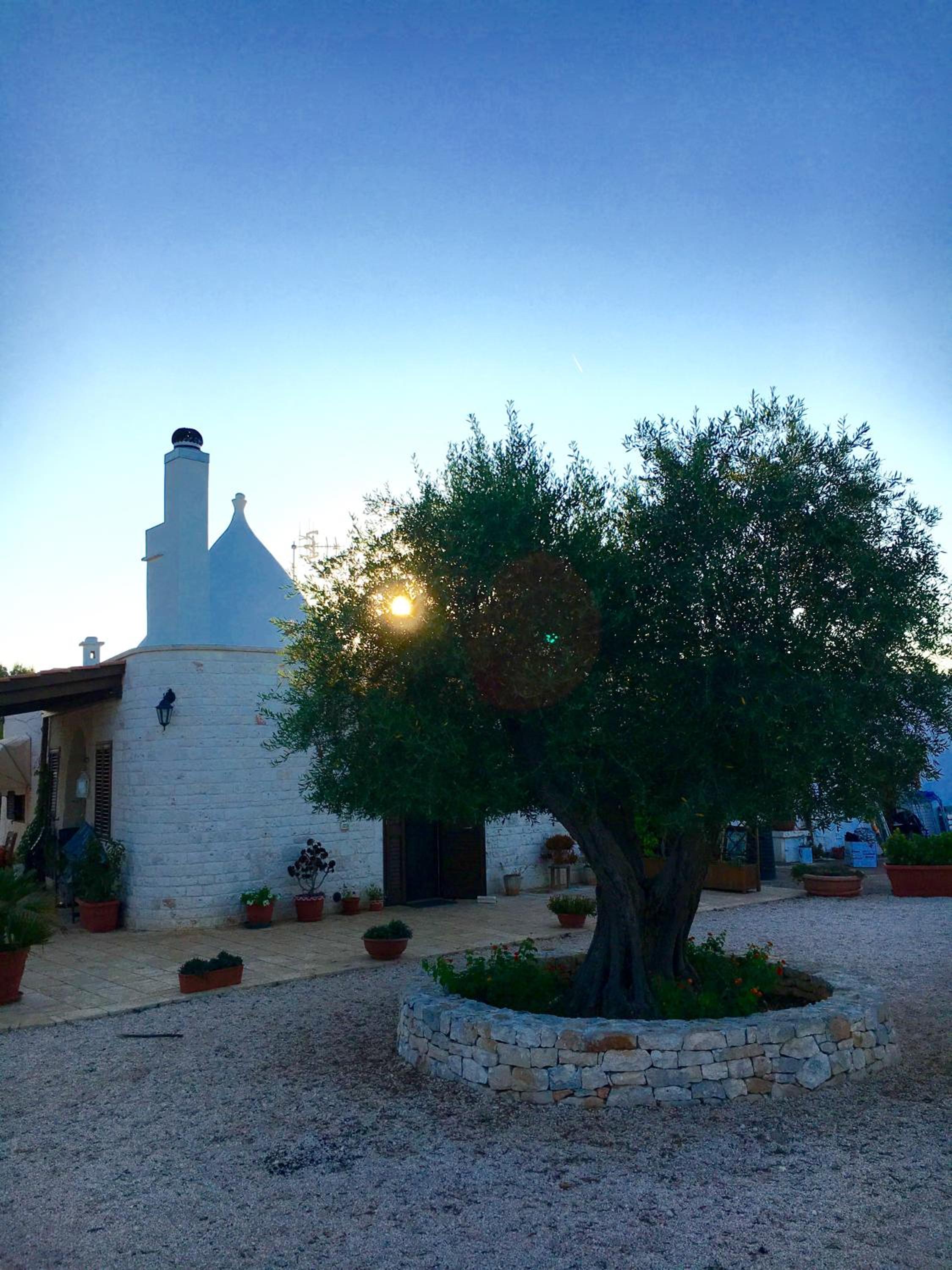 Il Trullo di Giulietta