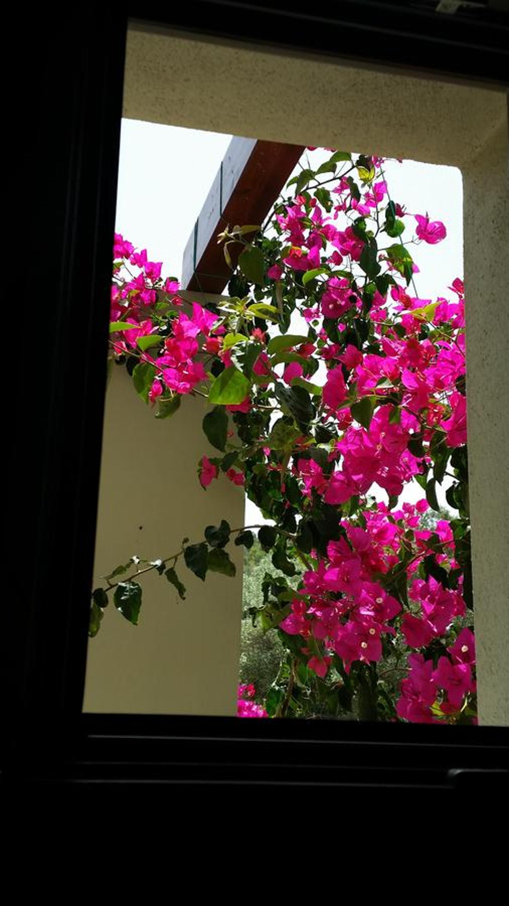 Photo 52