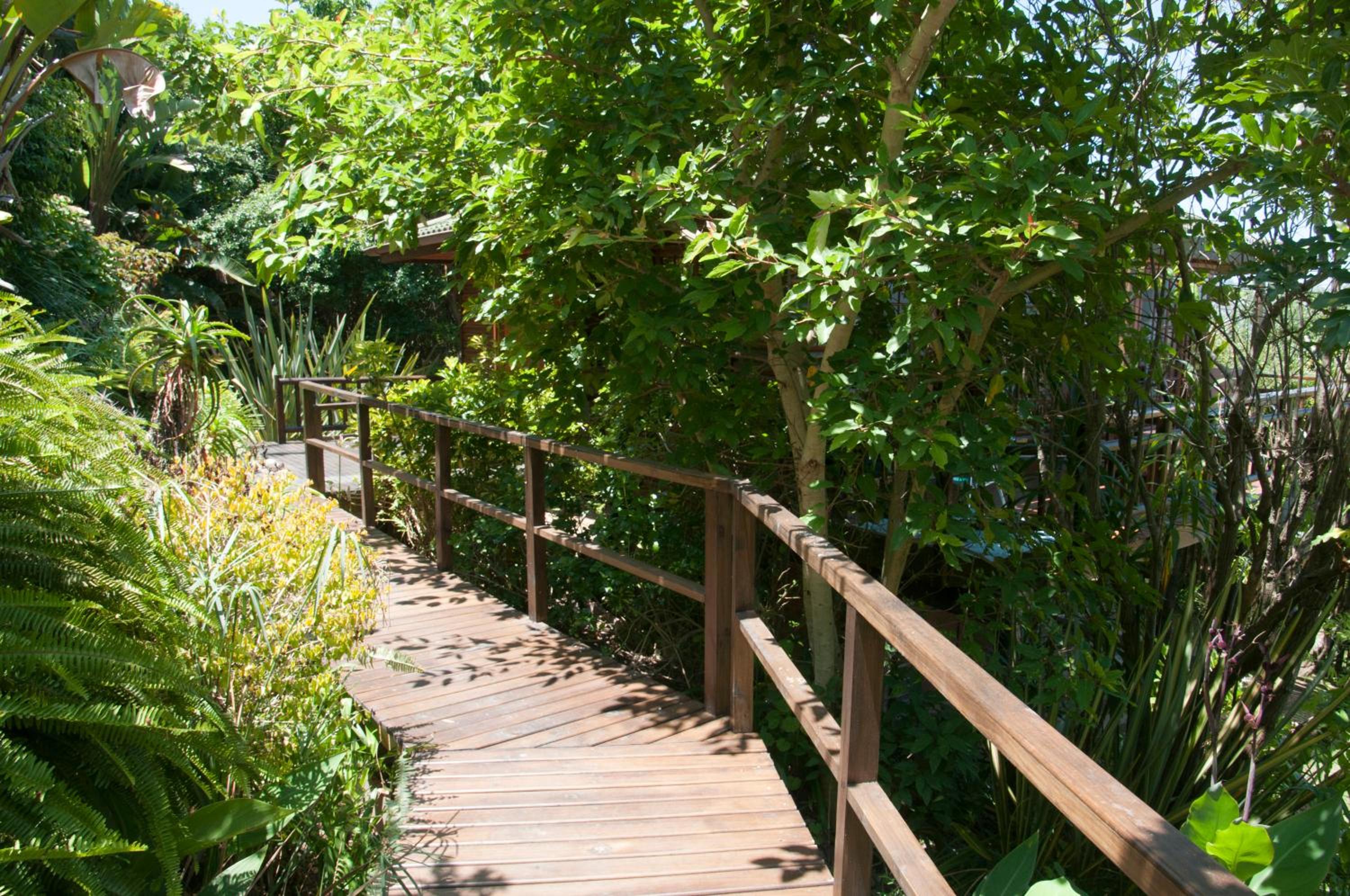 Big Tree House Lodge