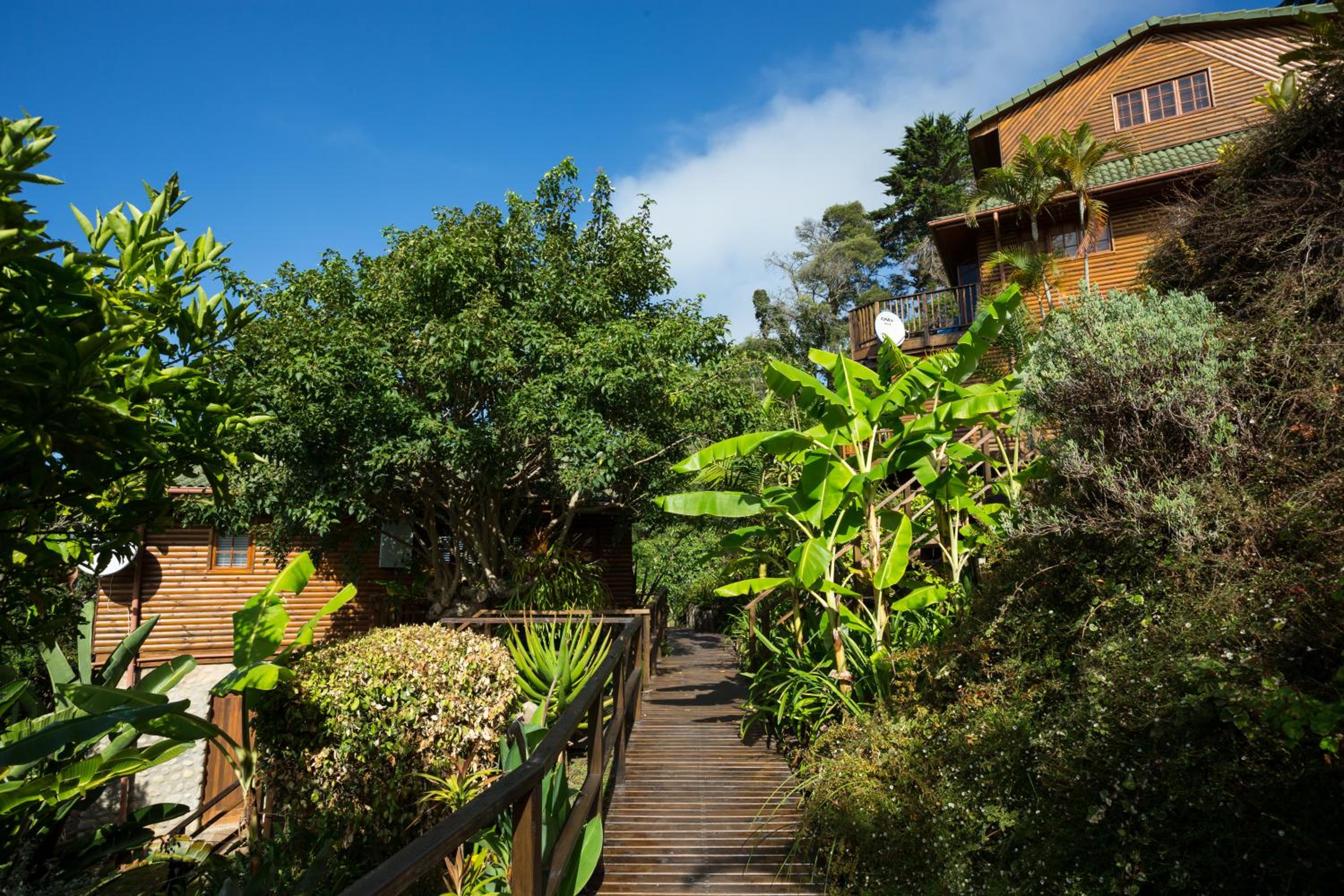 Big Tree House Lodge