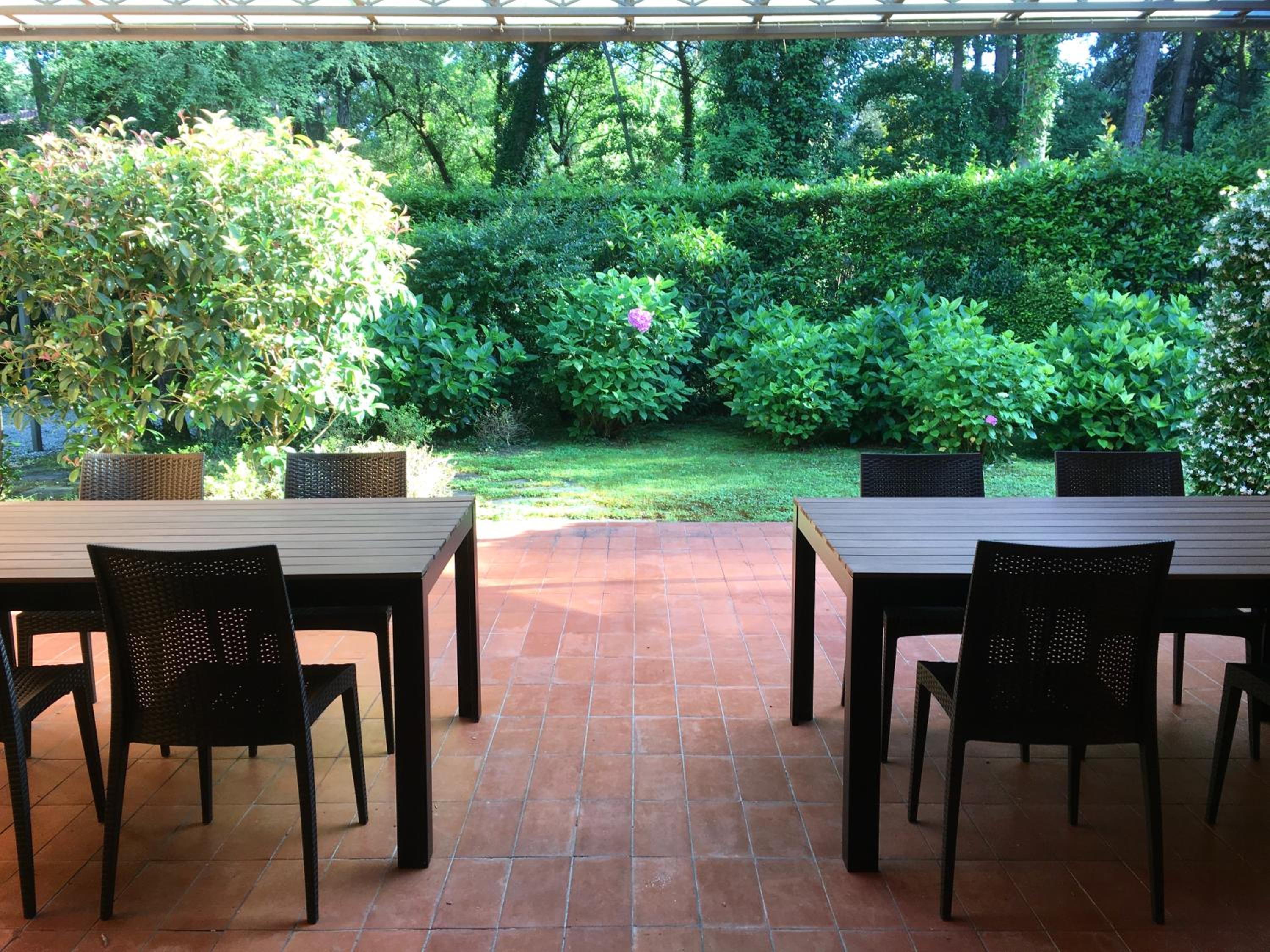Photo 41