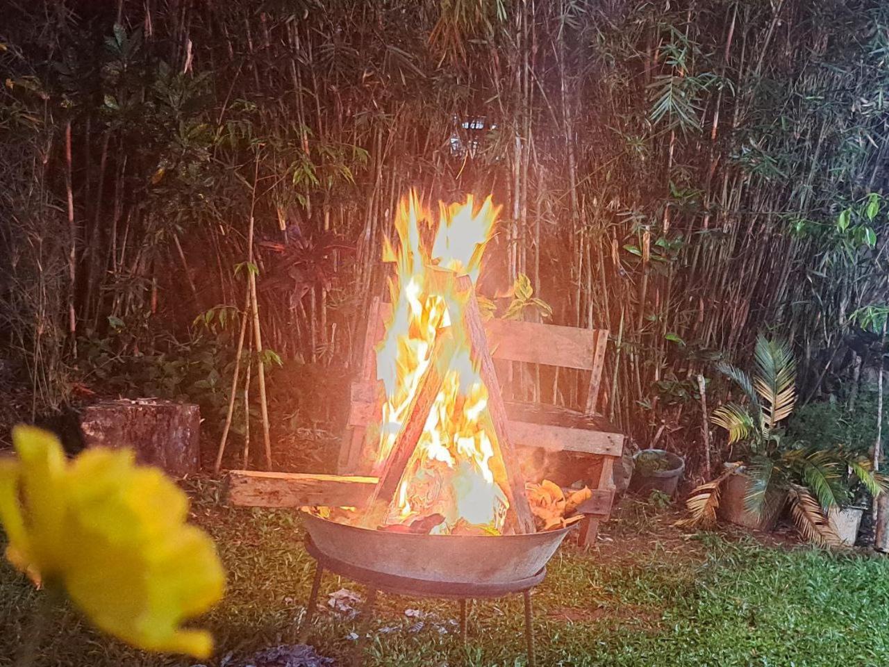 Pet-Friendly Tagaytay Retreat Country Nipa Huts