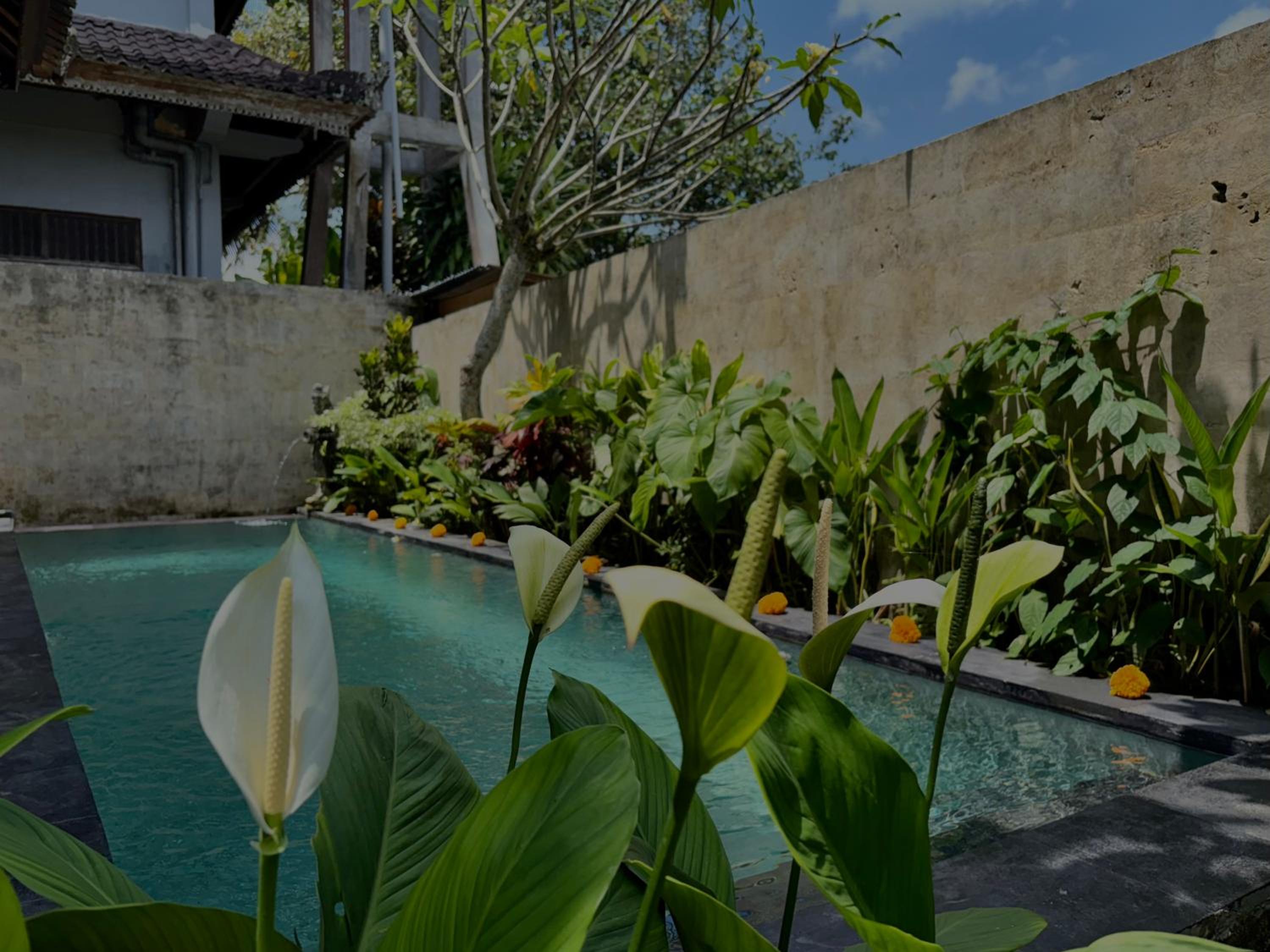 Blue Lotus Ubud