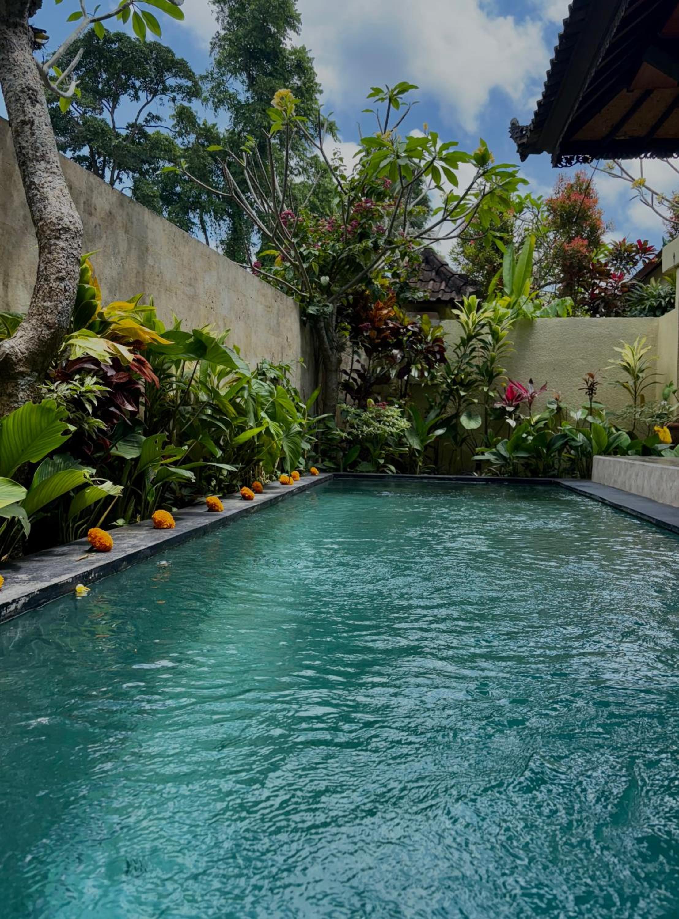 Blue Lotus Ubud