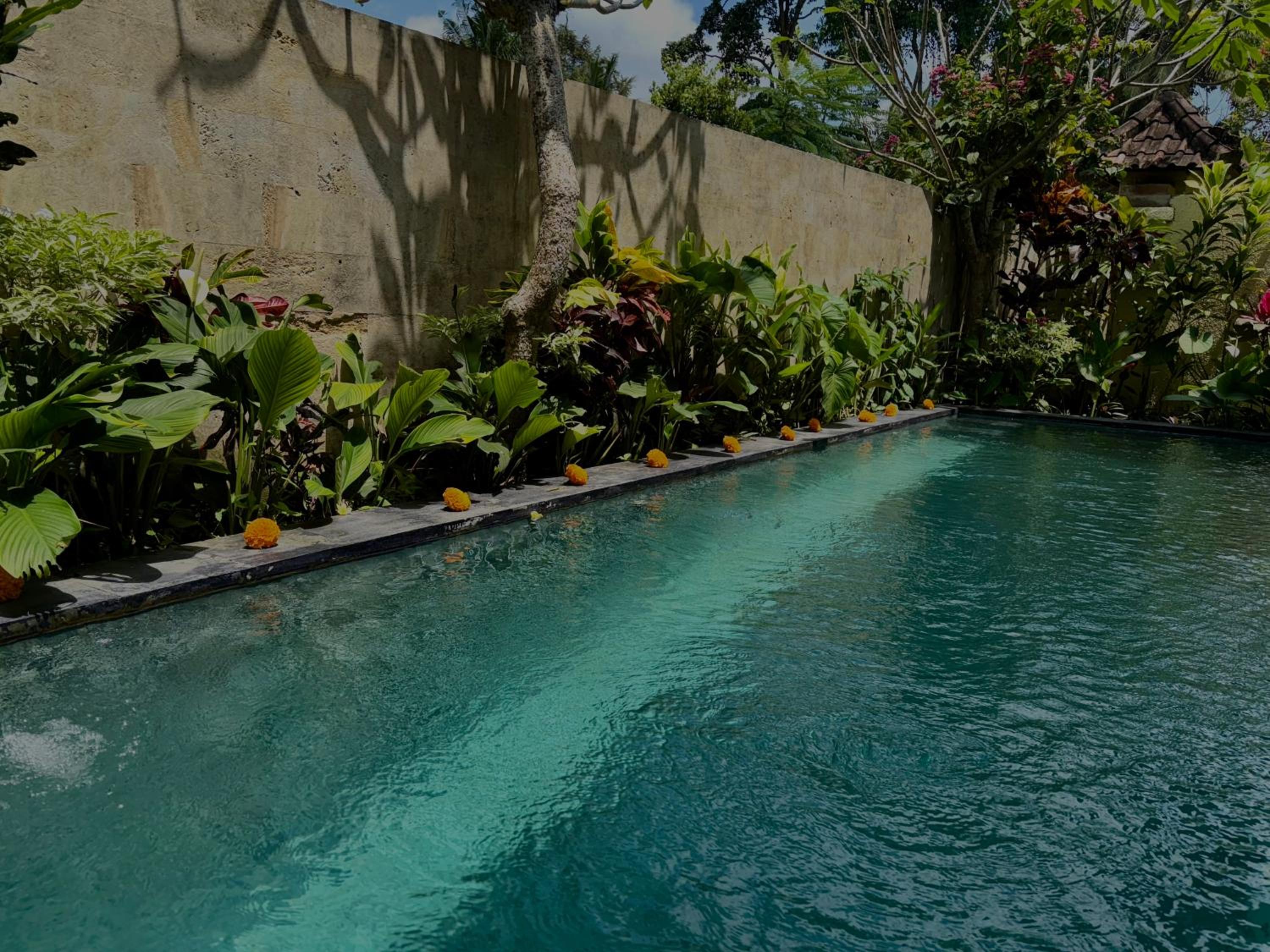 Blue Lotus Ubud