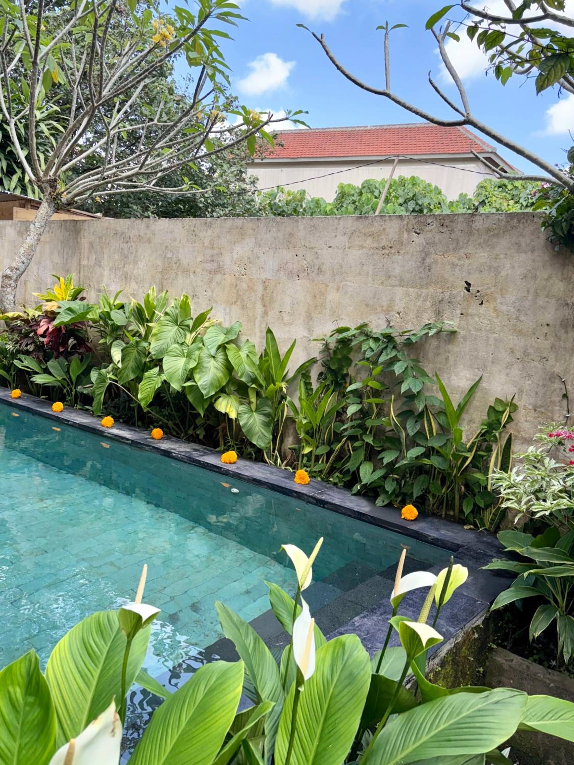Blue Lotus Ubud