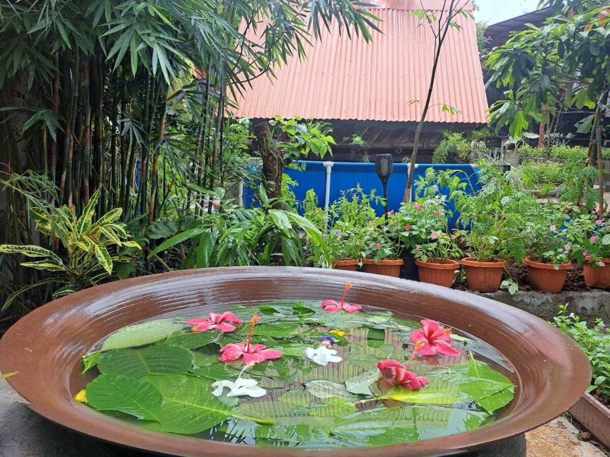 Pet-Friendly Tagaytay Retreat Country Nipa Huts