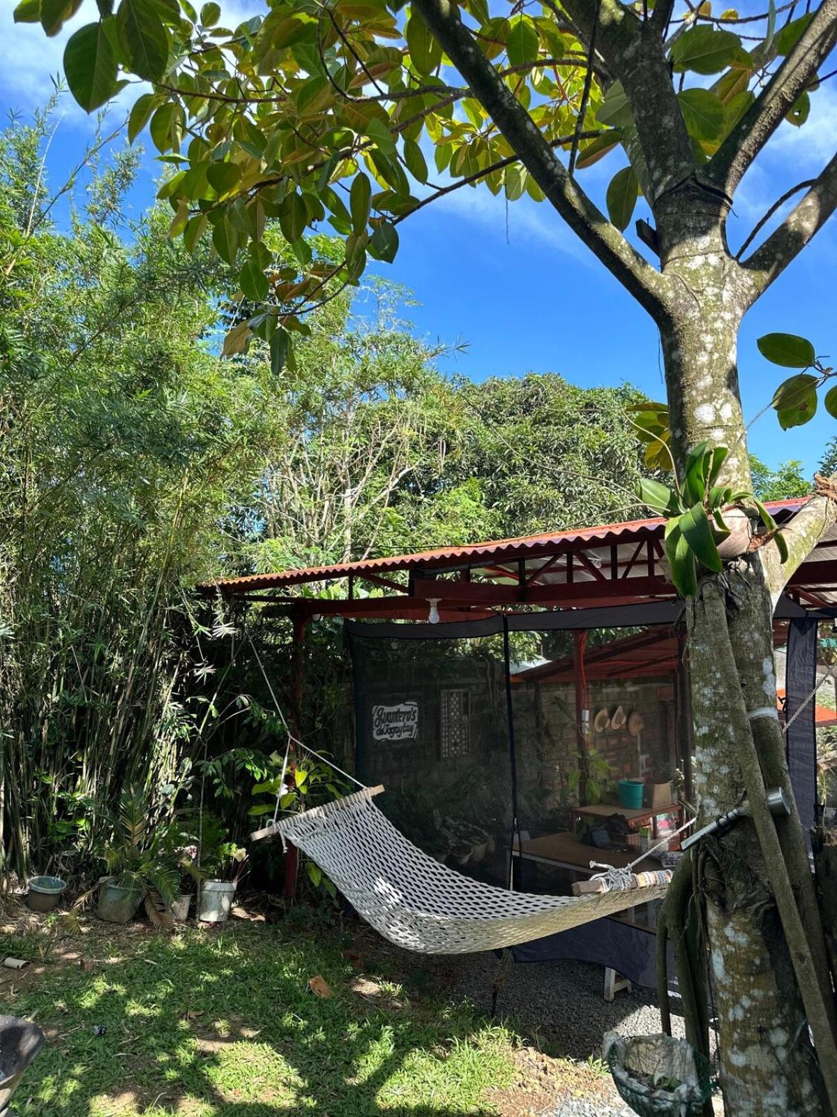Pet-Friendly Tagaytay Retreat Country Nipa Huts