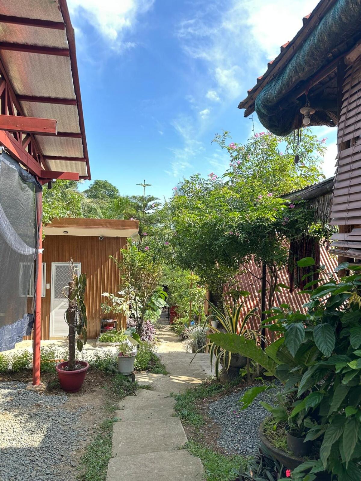 Pet-Friendly Tagaytay Retreat Country Nipa Huts