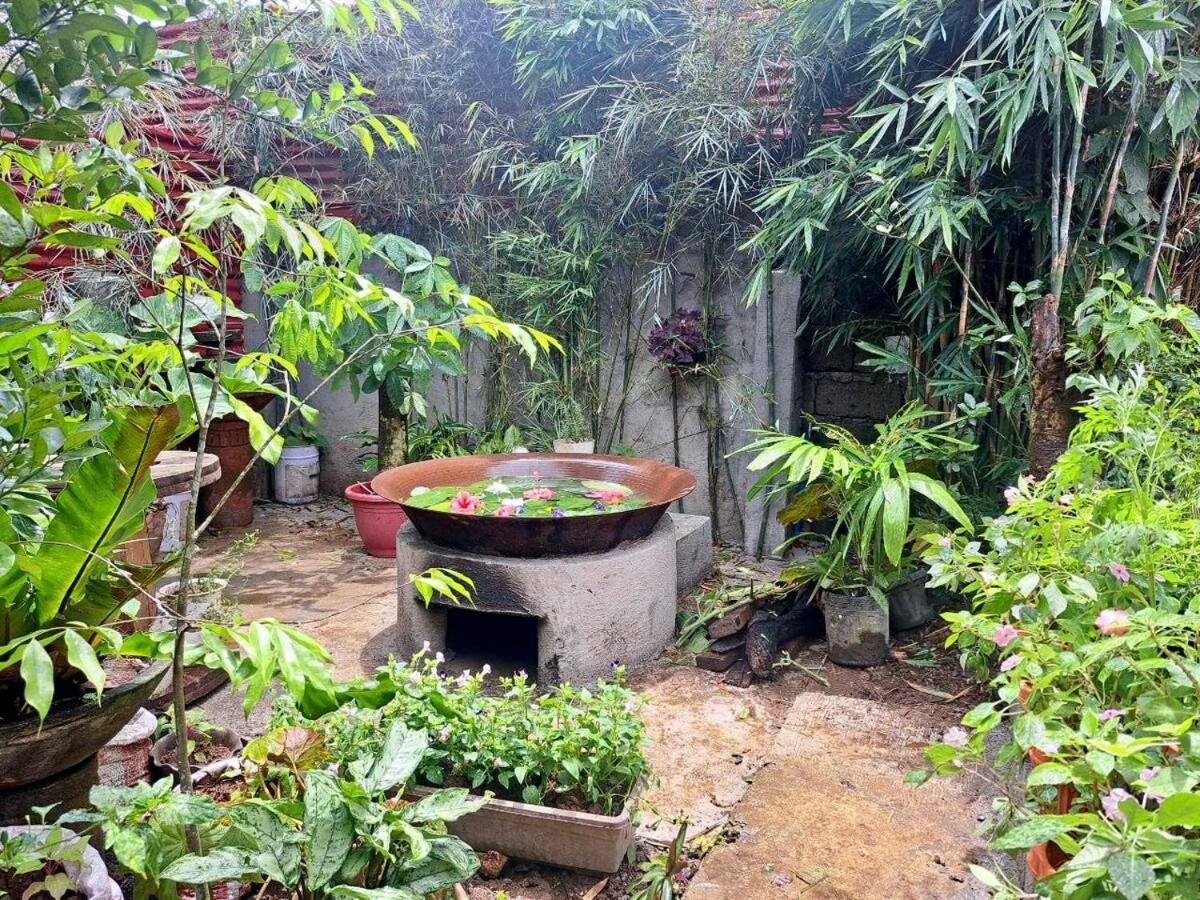 Pet-Friendly Tagaytay Retreat Country Nipa Huts