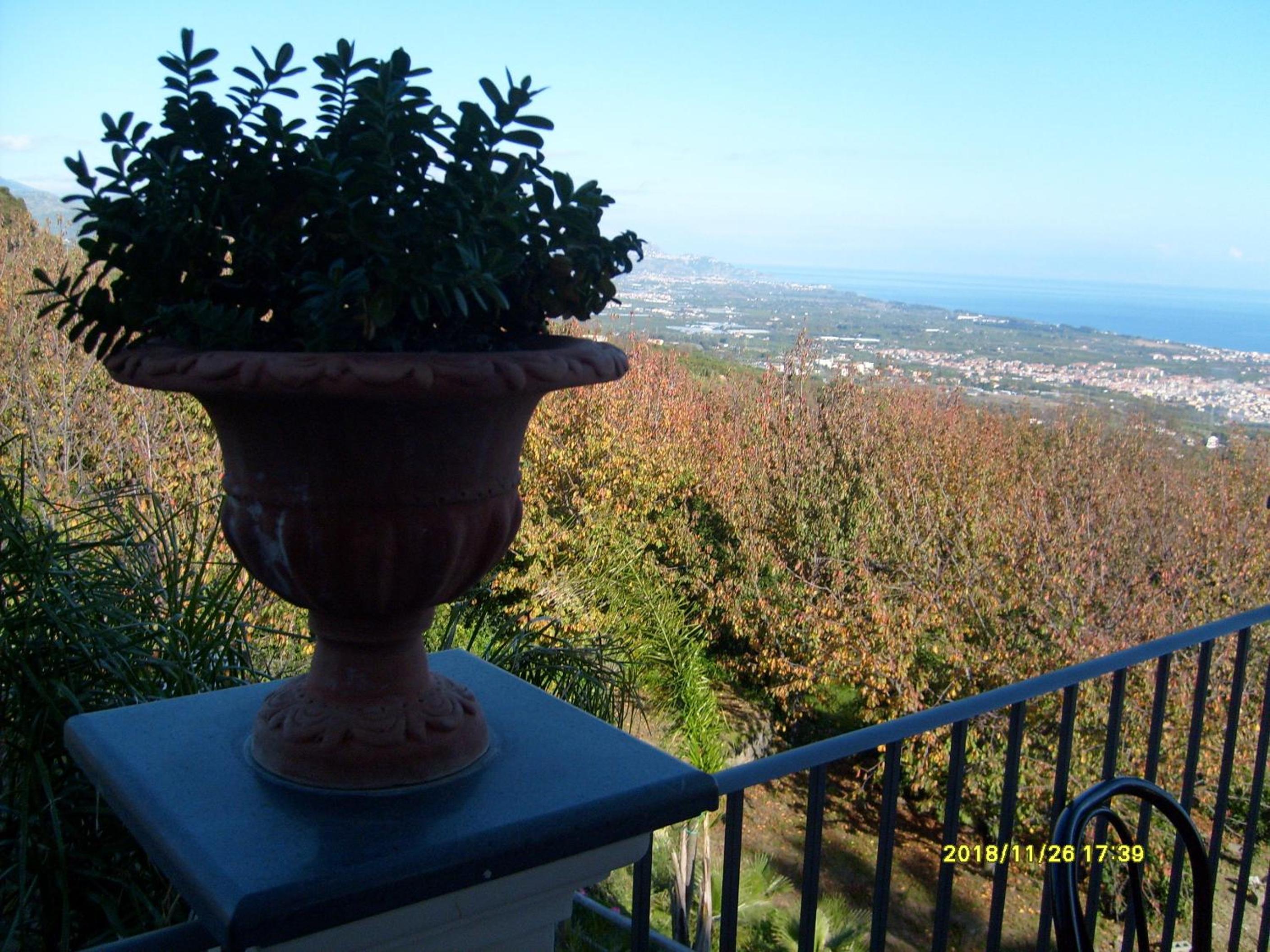 IL Ciliegio Dell 'Etna