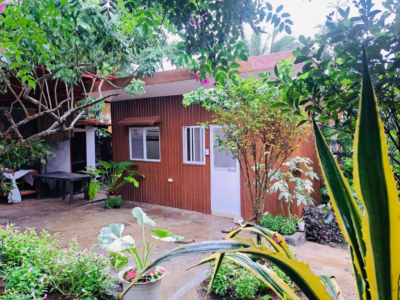 Pet-Friendly Tagaytay Retreat Country Nipa Huts