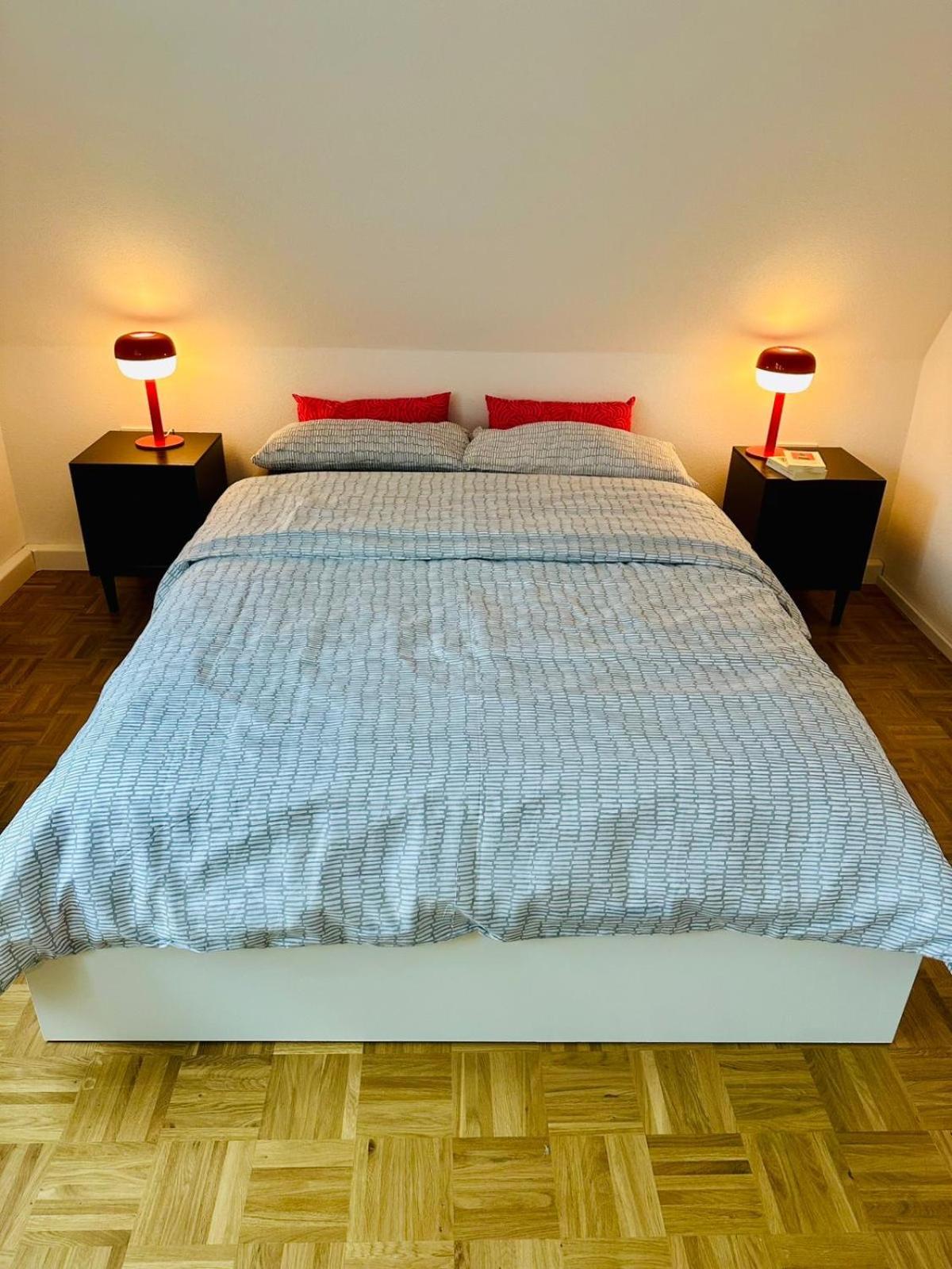 SCHEE Panorama Apartment - ideal für Gruppen und Familien