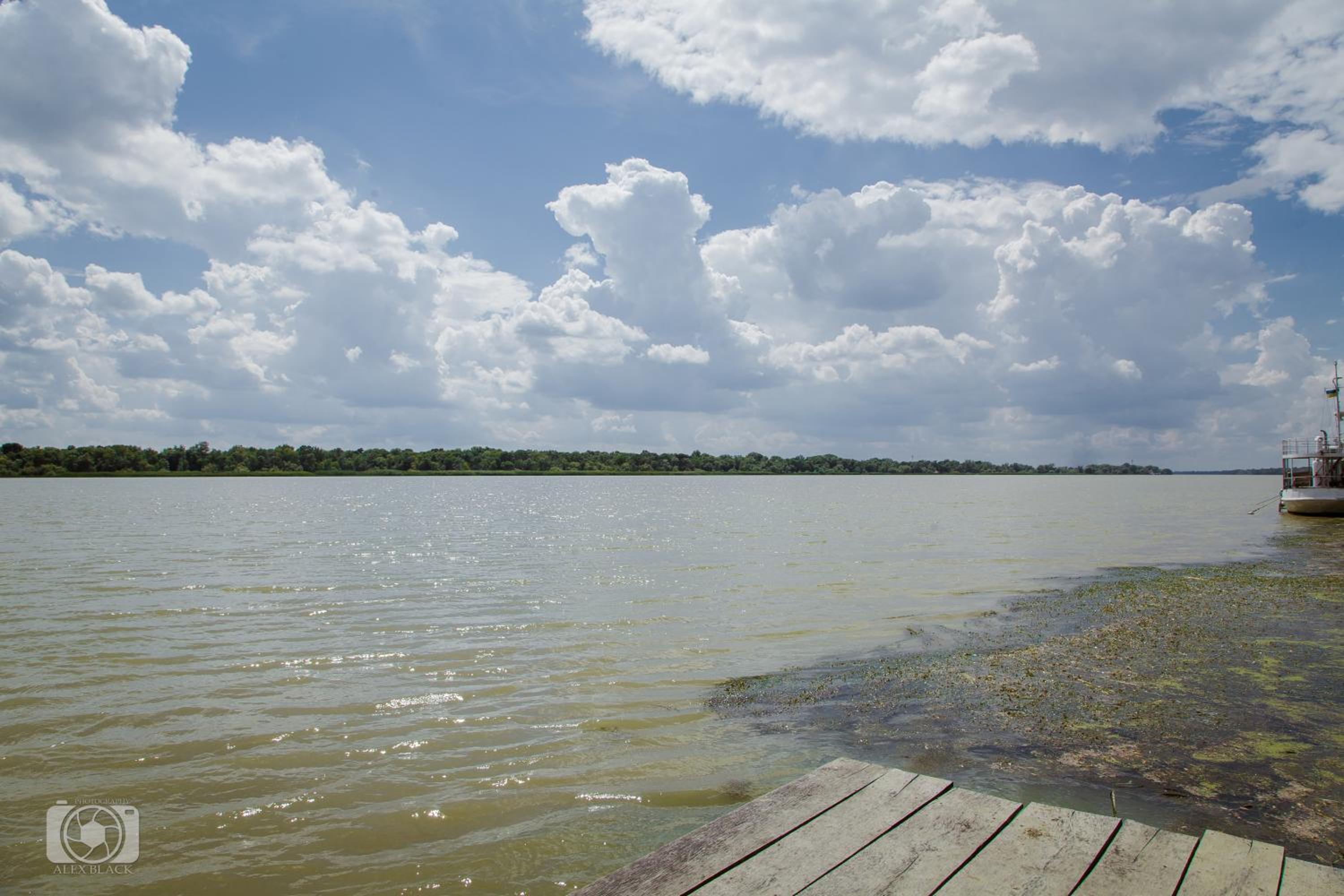 Photo 31