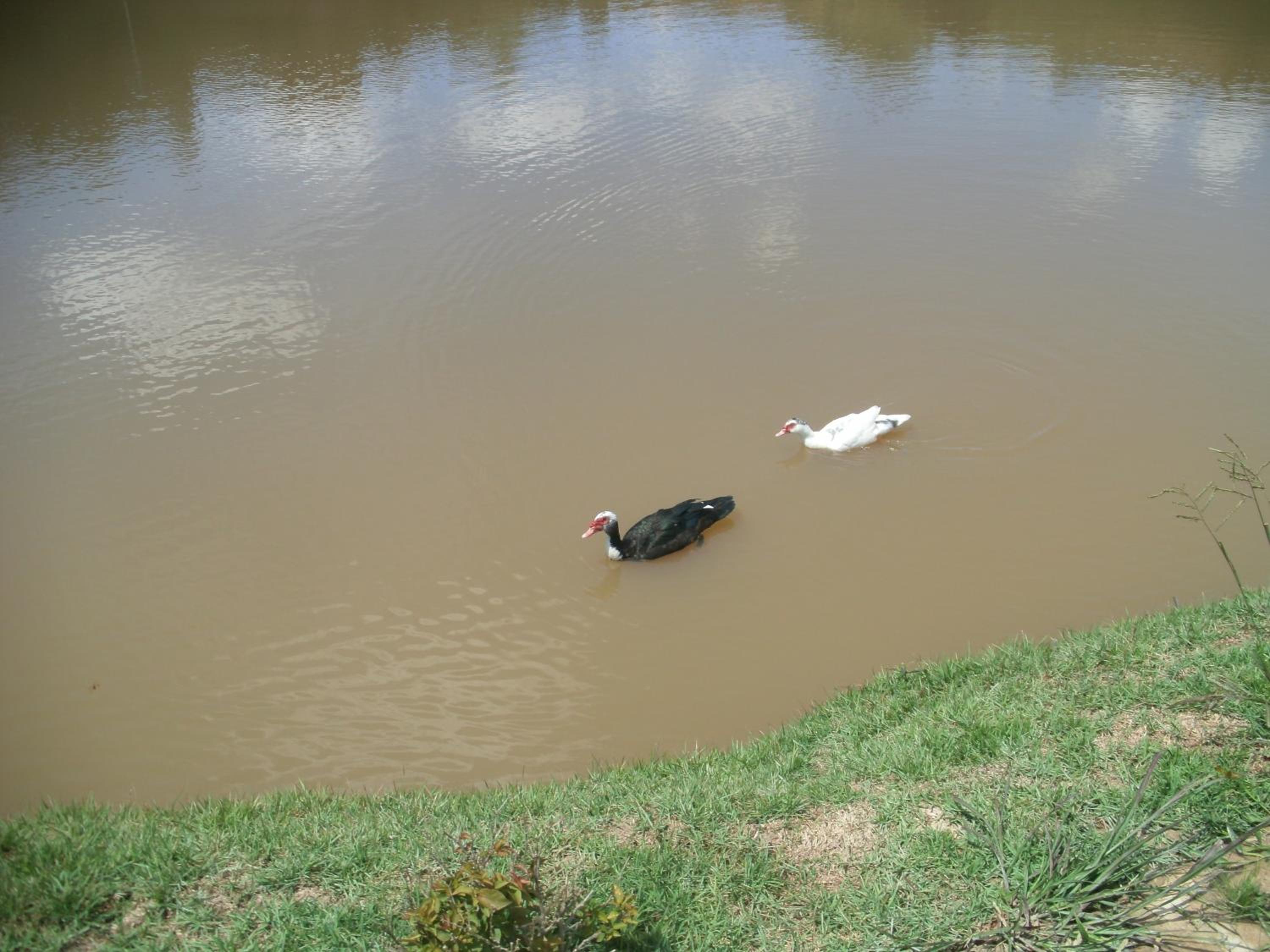 Jardim dos Sonhos