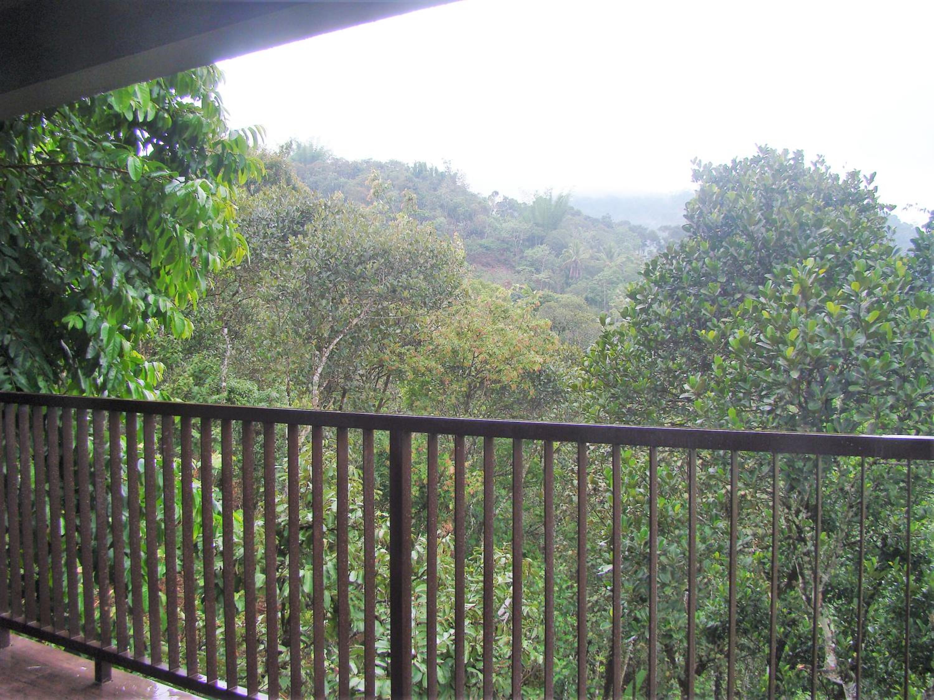 The Mountain Courtyard Thekkady