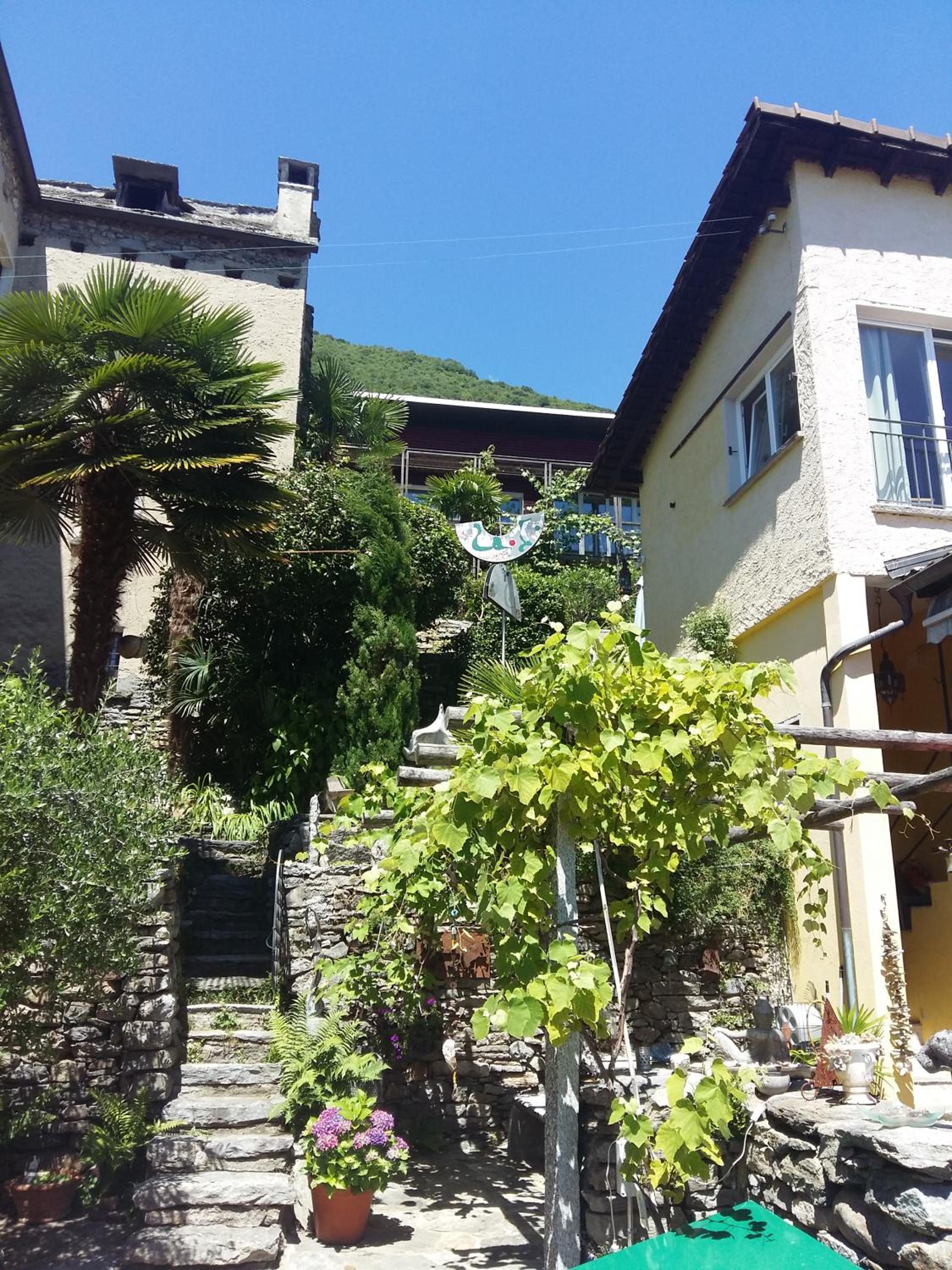 Photo 11