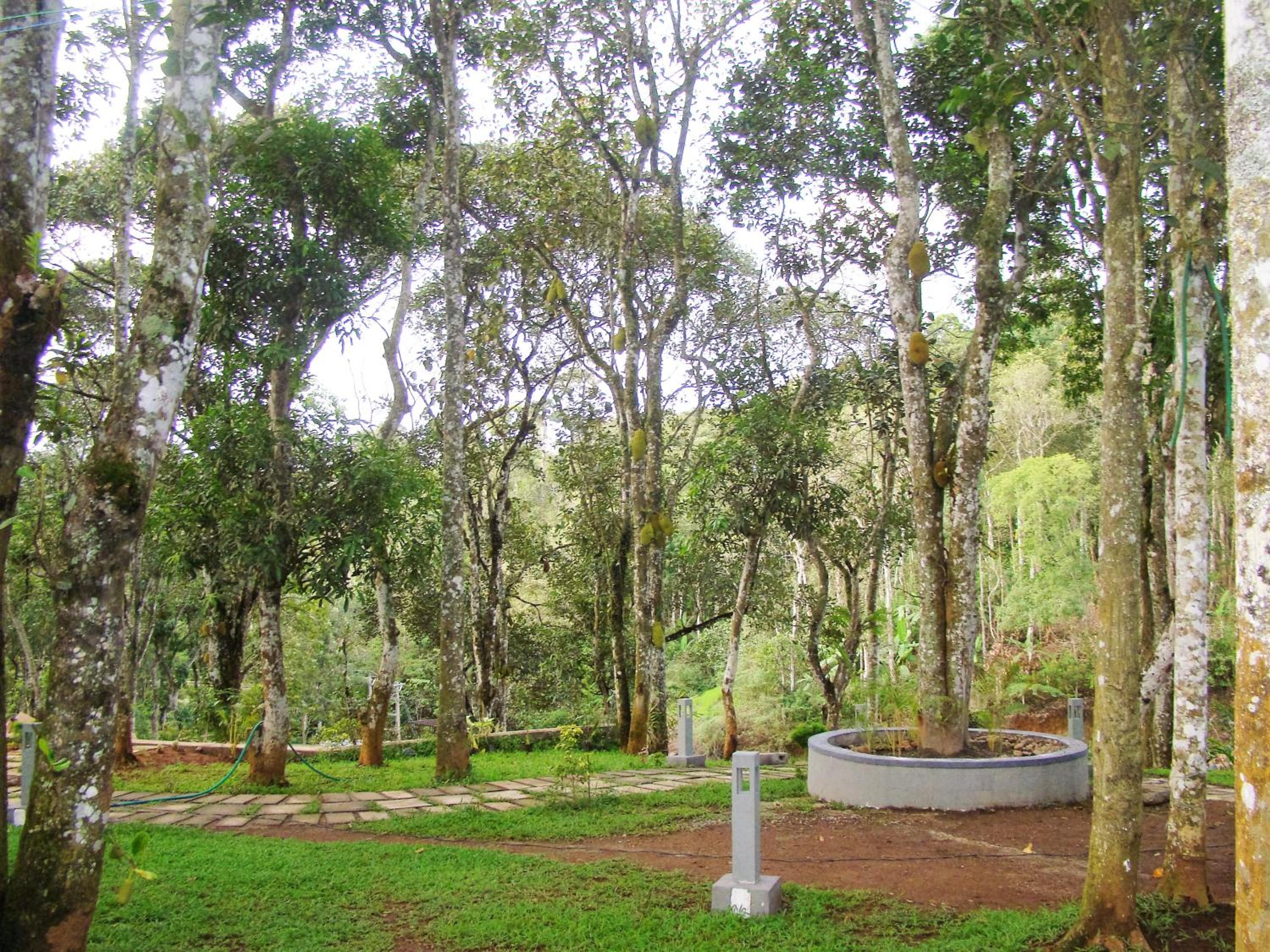 The Mountain Courtyard Thekkady