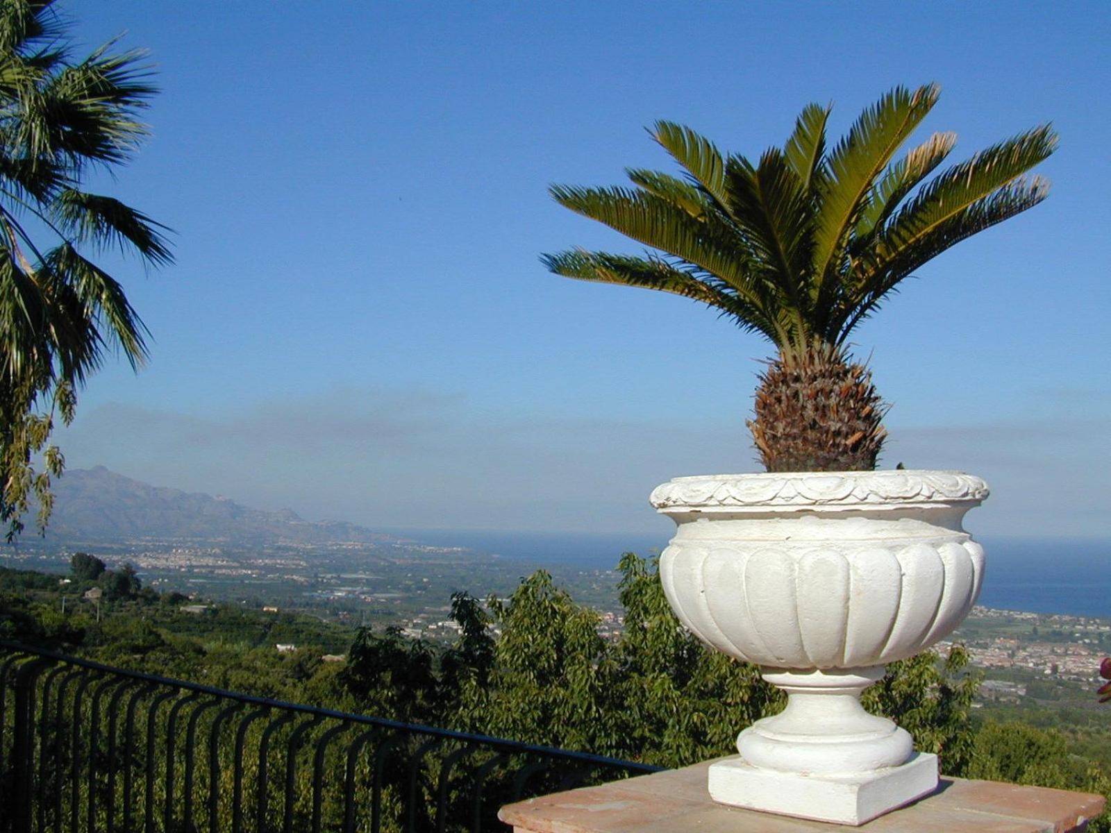 IL Ciliegio Dell 'Etna