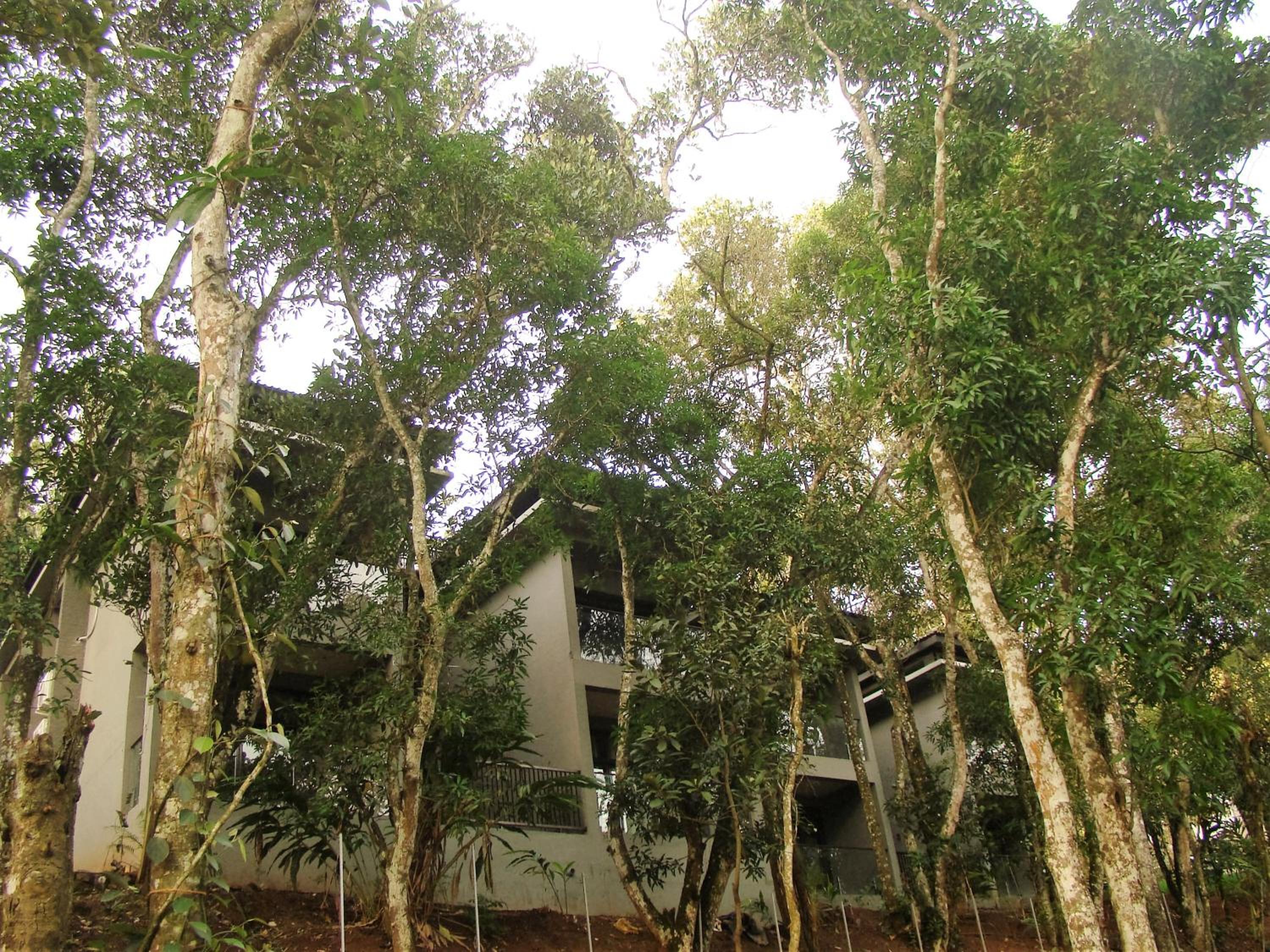 The Mountain Courtyard Thekkady