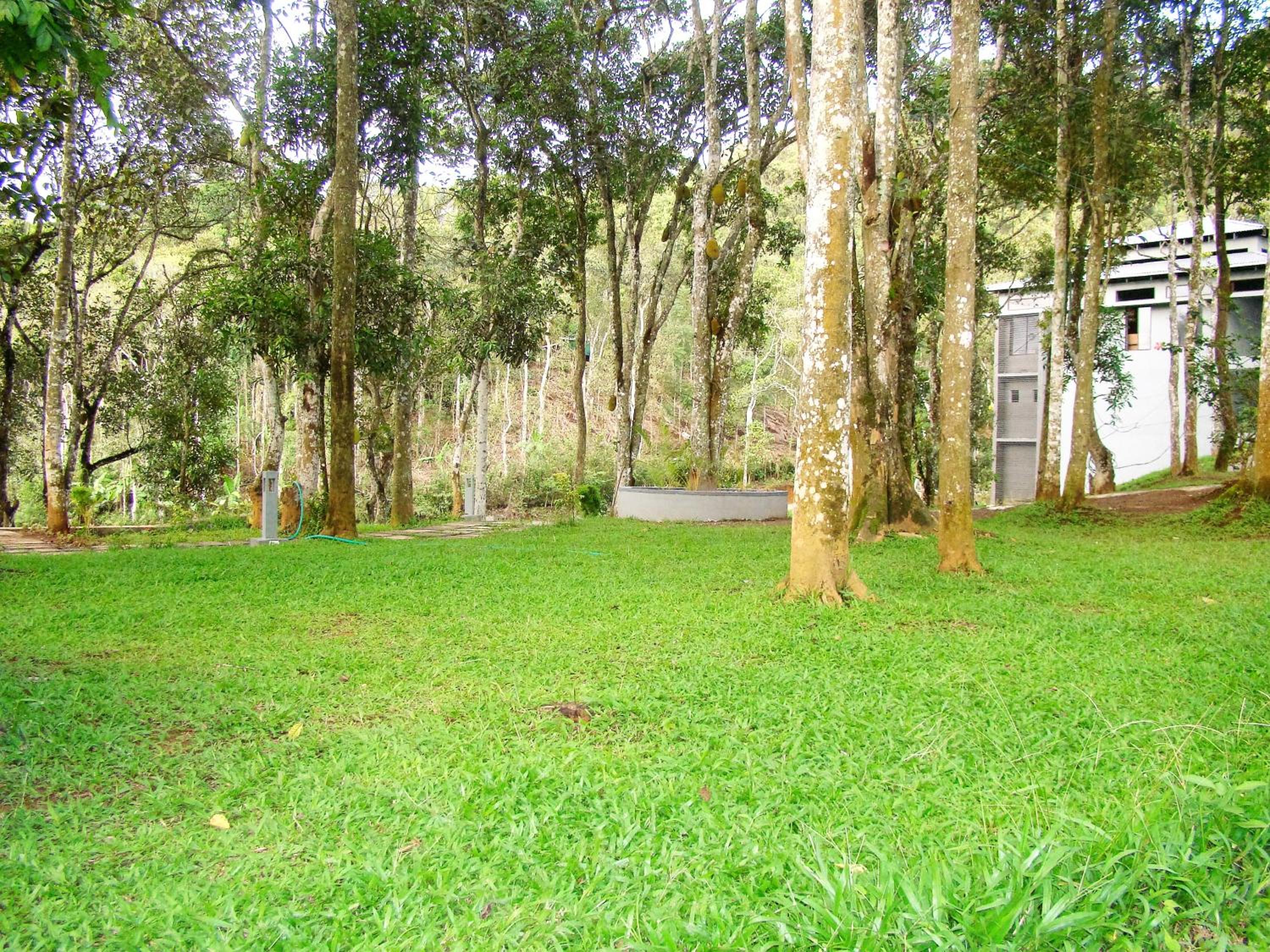 The Mountain Courtyard Thekkady