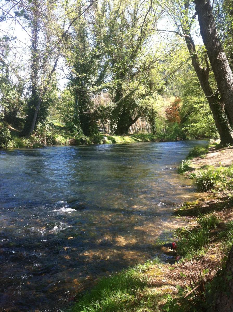 Photo 51
