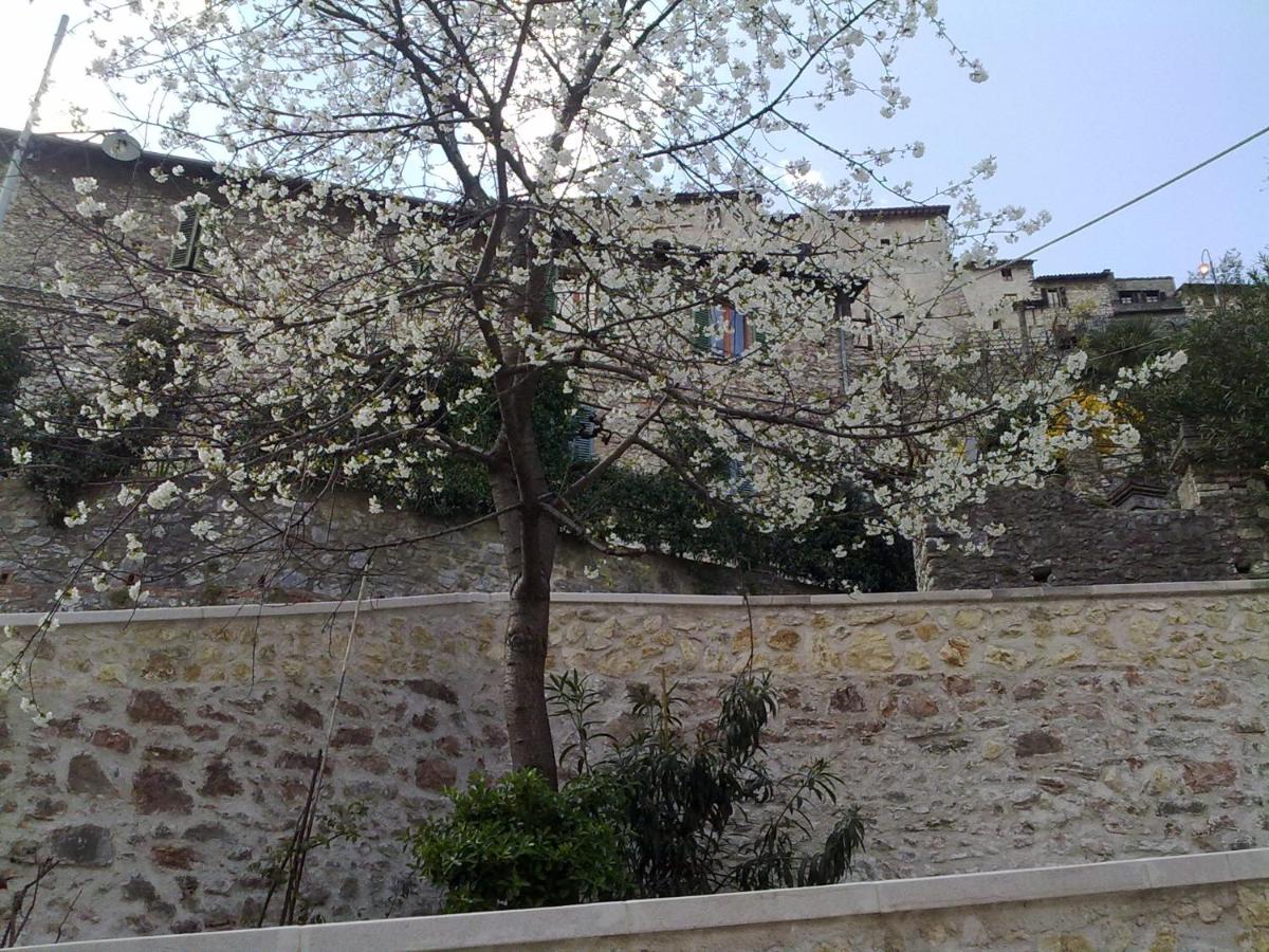 Photo 45