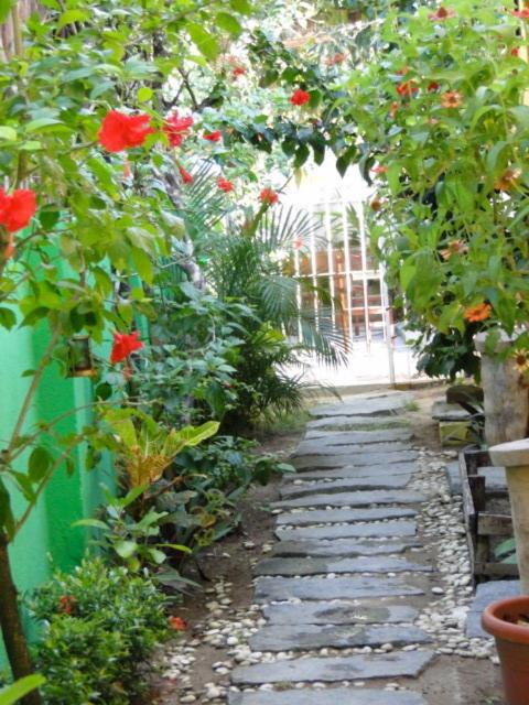 Photo 23
