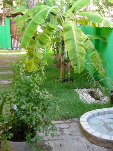 Photo 24